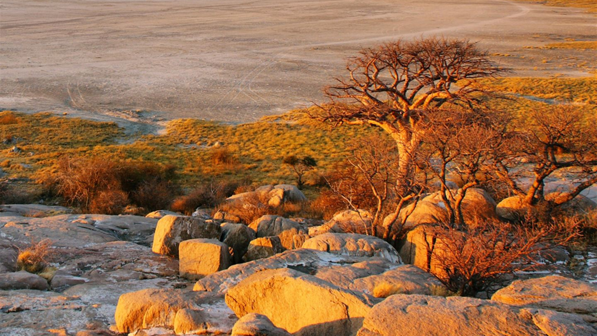 Signature: Botswana's Wildlife & the Okavango Delta