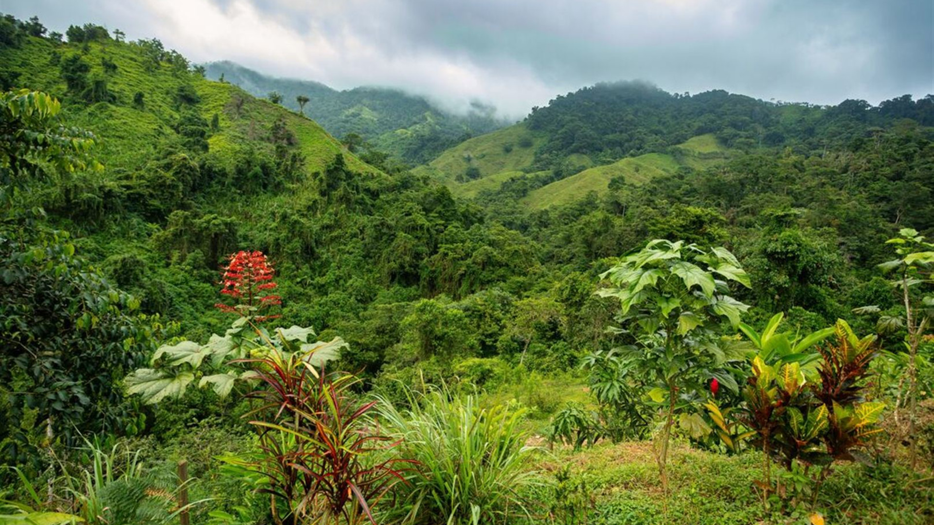 Colombia Adventure & Lost City Trek