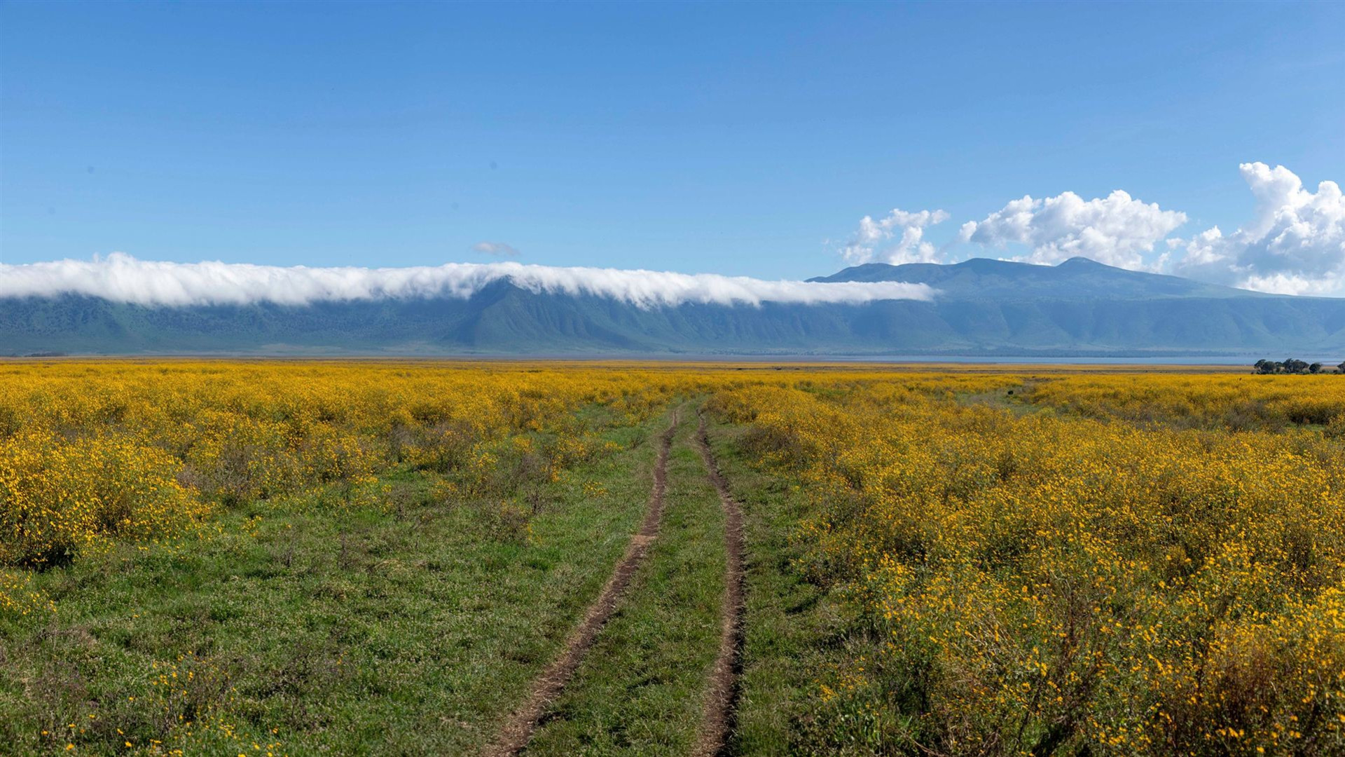 East Africa: Safari Drives, Maasai Culture & the Great Migration