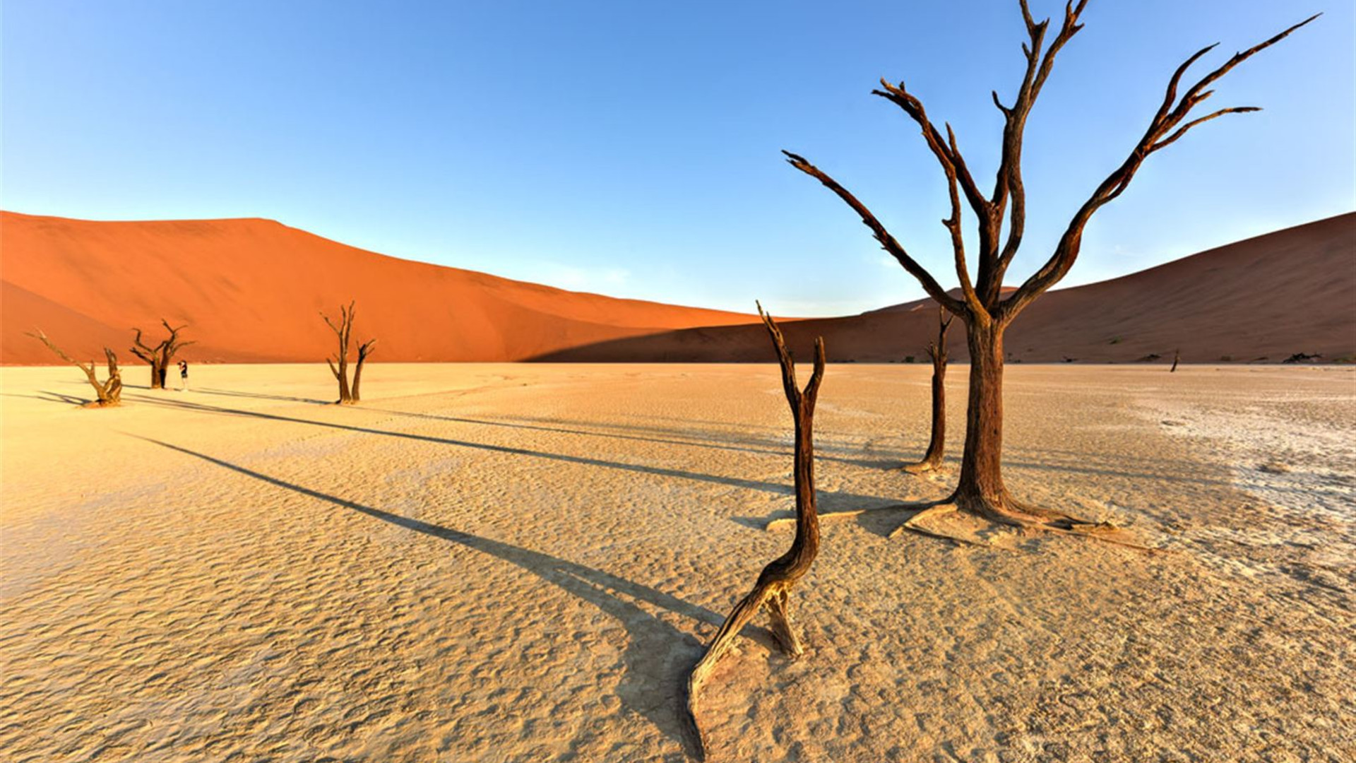 Premium Botswana & Namibia