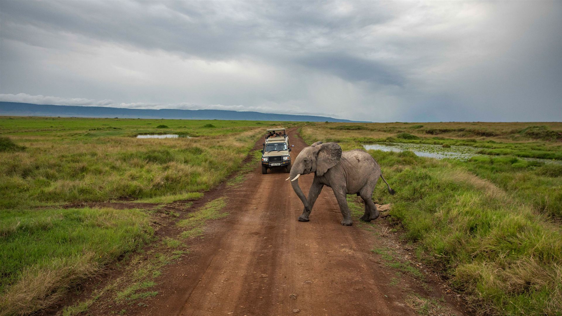 Kenia nach Simbabwe Überland-Safari & Teilnahme Camping