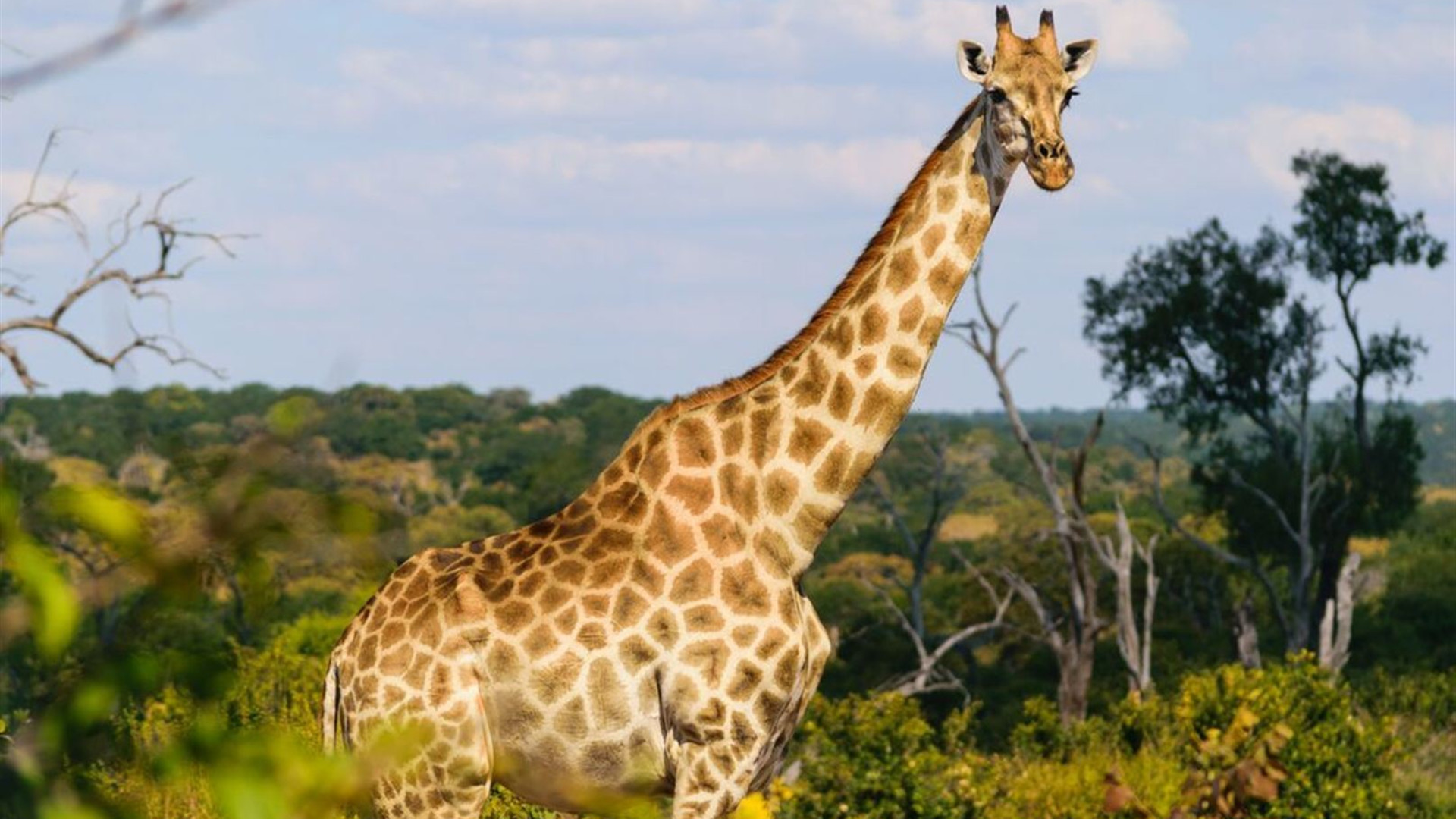 Experience Southern Africa
