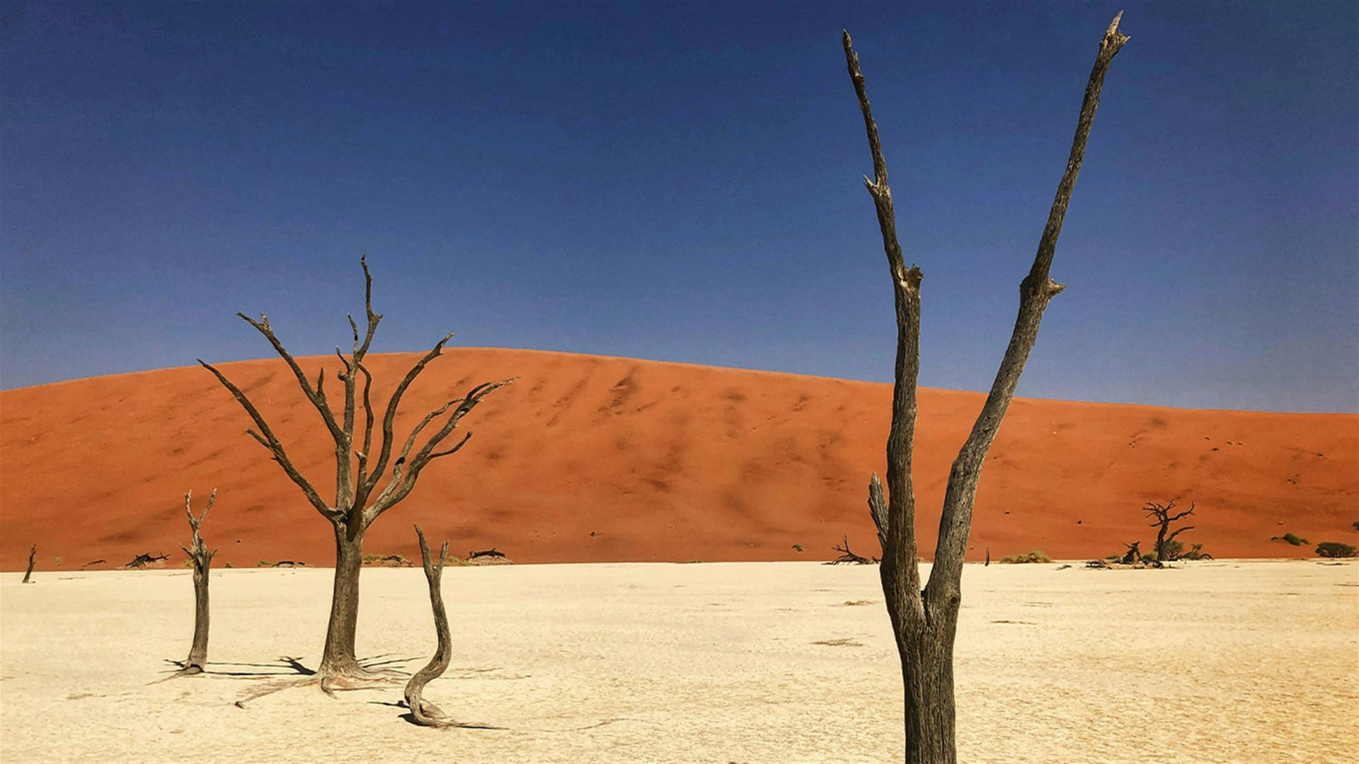 Namibia and South Africa