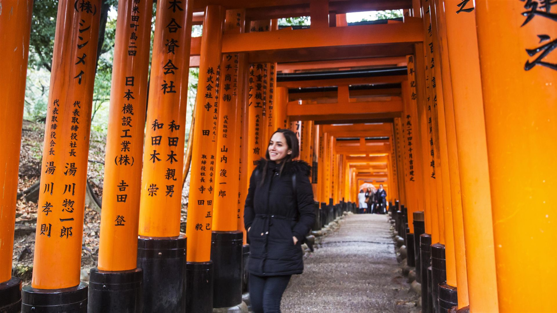 Episches Japan – Shinkansen & Streetfood
