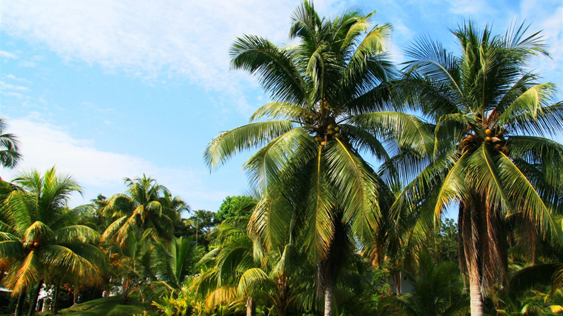 Ein Monat Mittelamerika: Tulum, Tikal und mehr