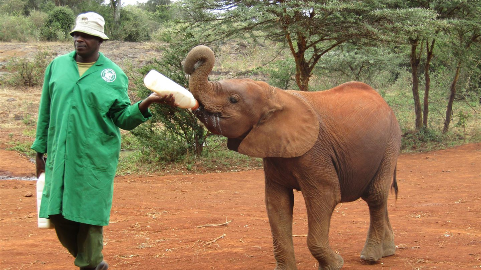 African Safari: Kenya & Tanzania