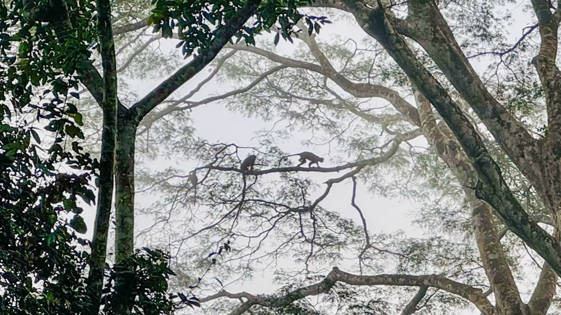 Sierra Leone Adventure: History, Culture & Nature