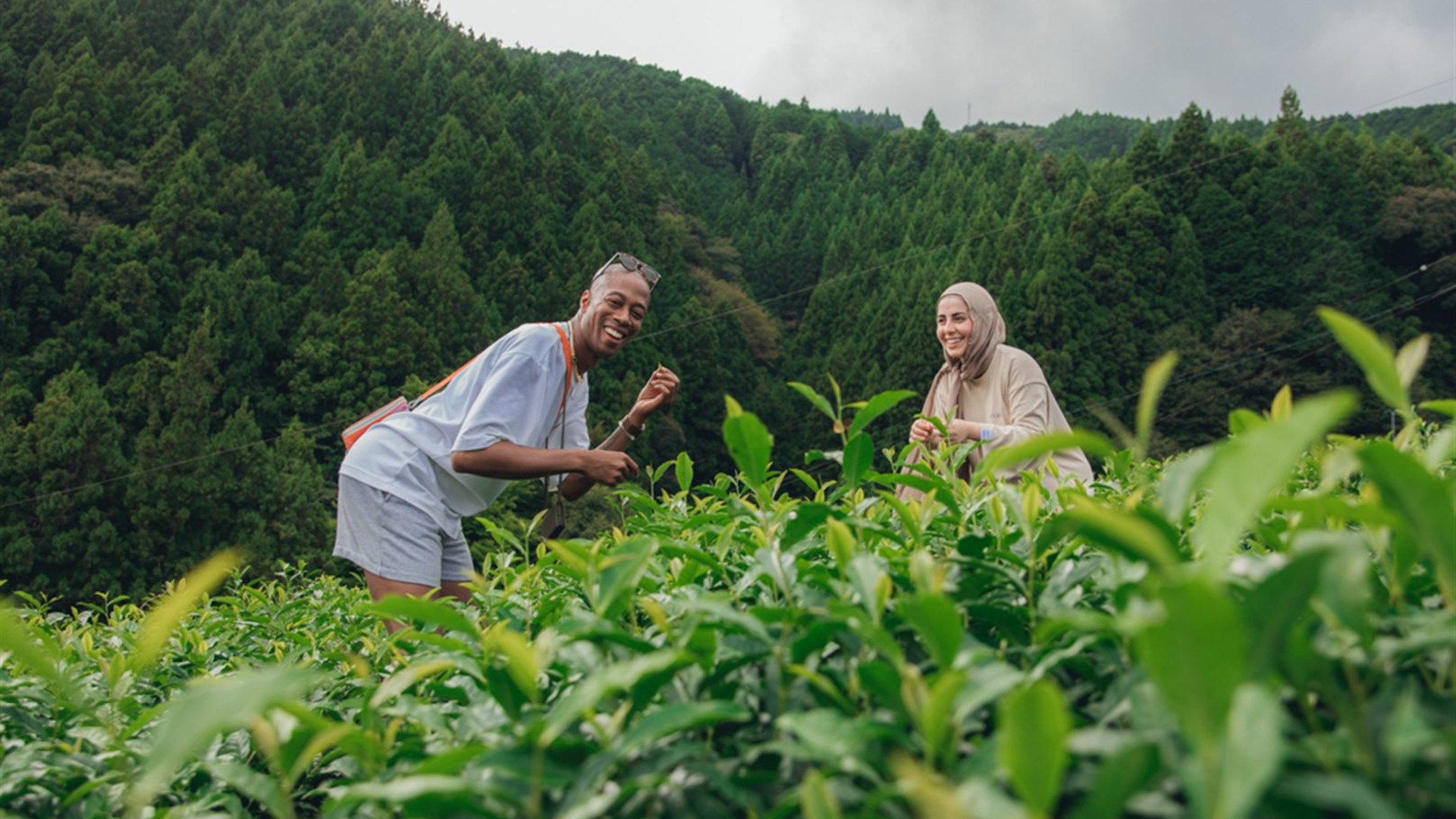 Japan Adventure