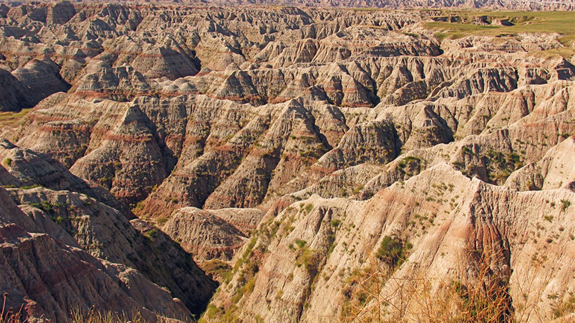 Spotlight on South Dakota
