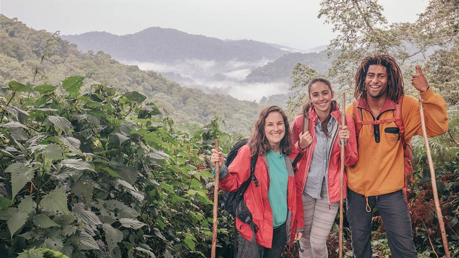 Premium Rwanda & Gorillas of Uganda