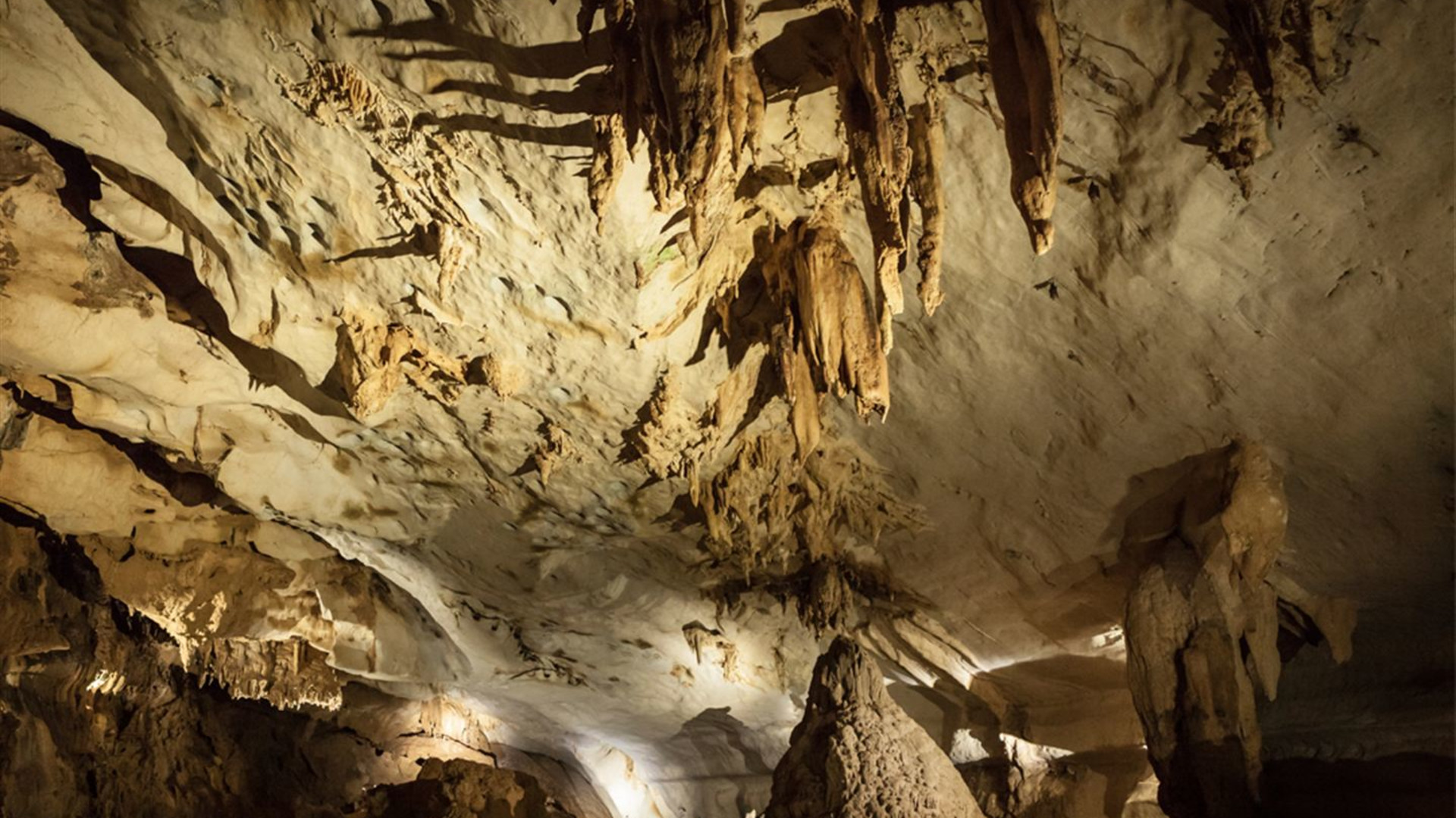 Journeys: Best of Borneo