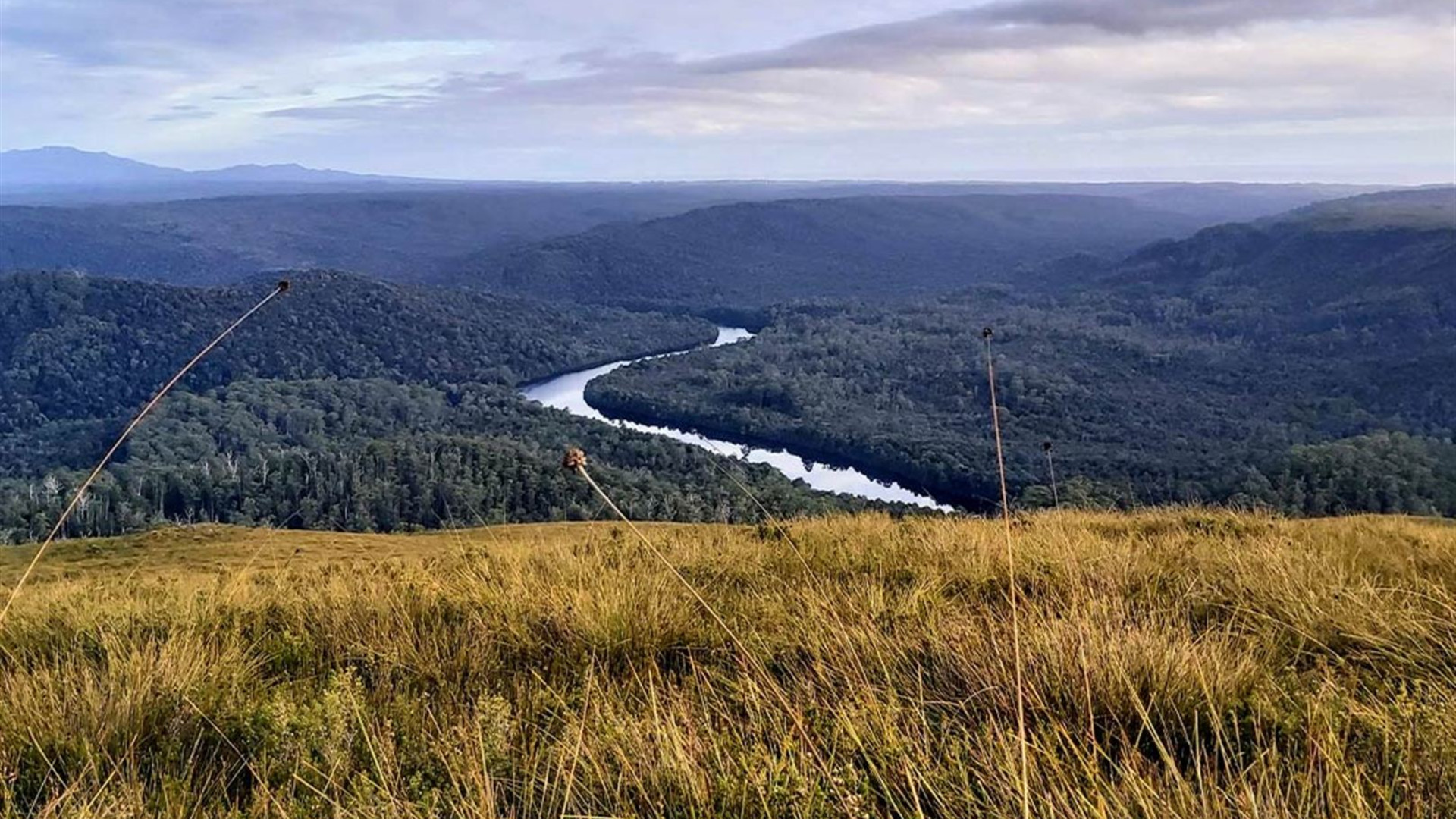 Walk Tasmania's Tarkine & Cradle Mountain