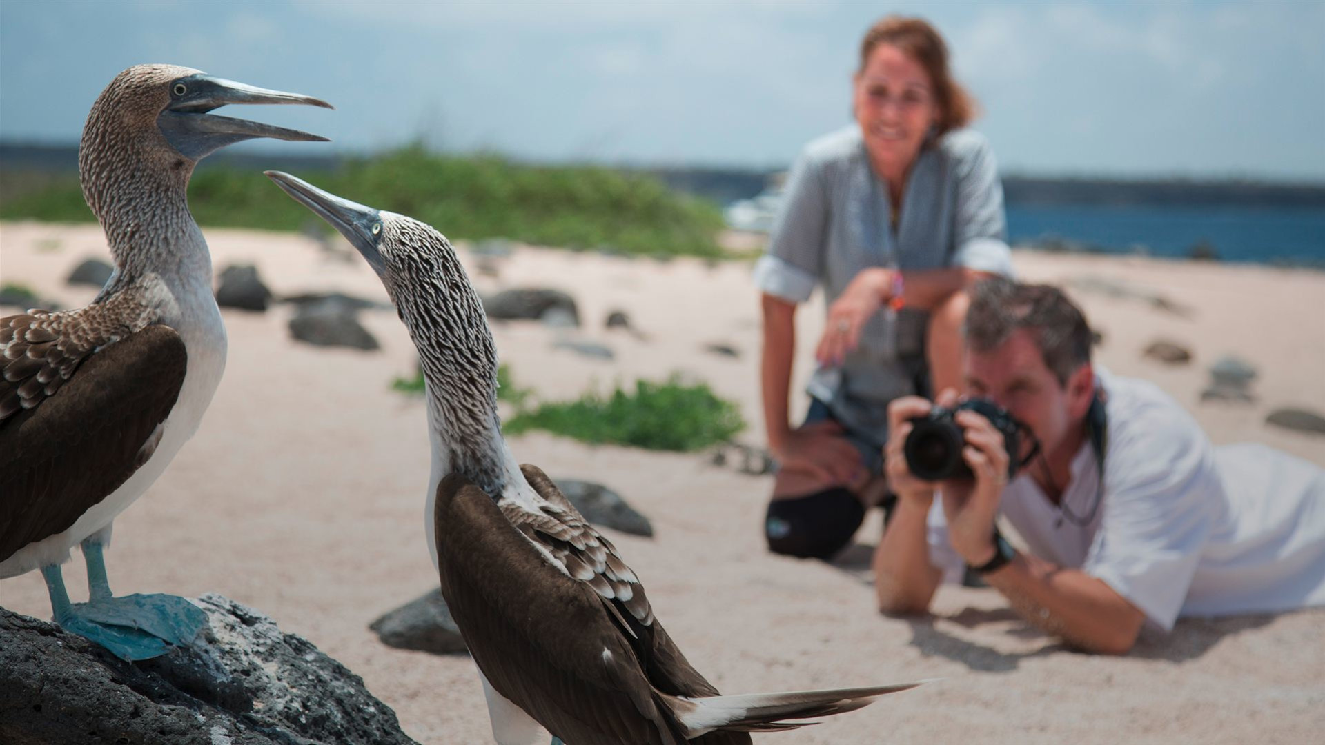 Galápagosinseln: Die Tierwelt von Santa Cruz & Isabela
