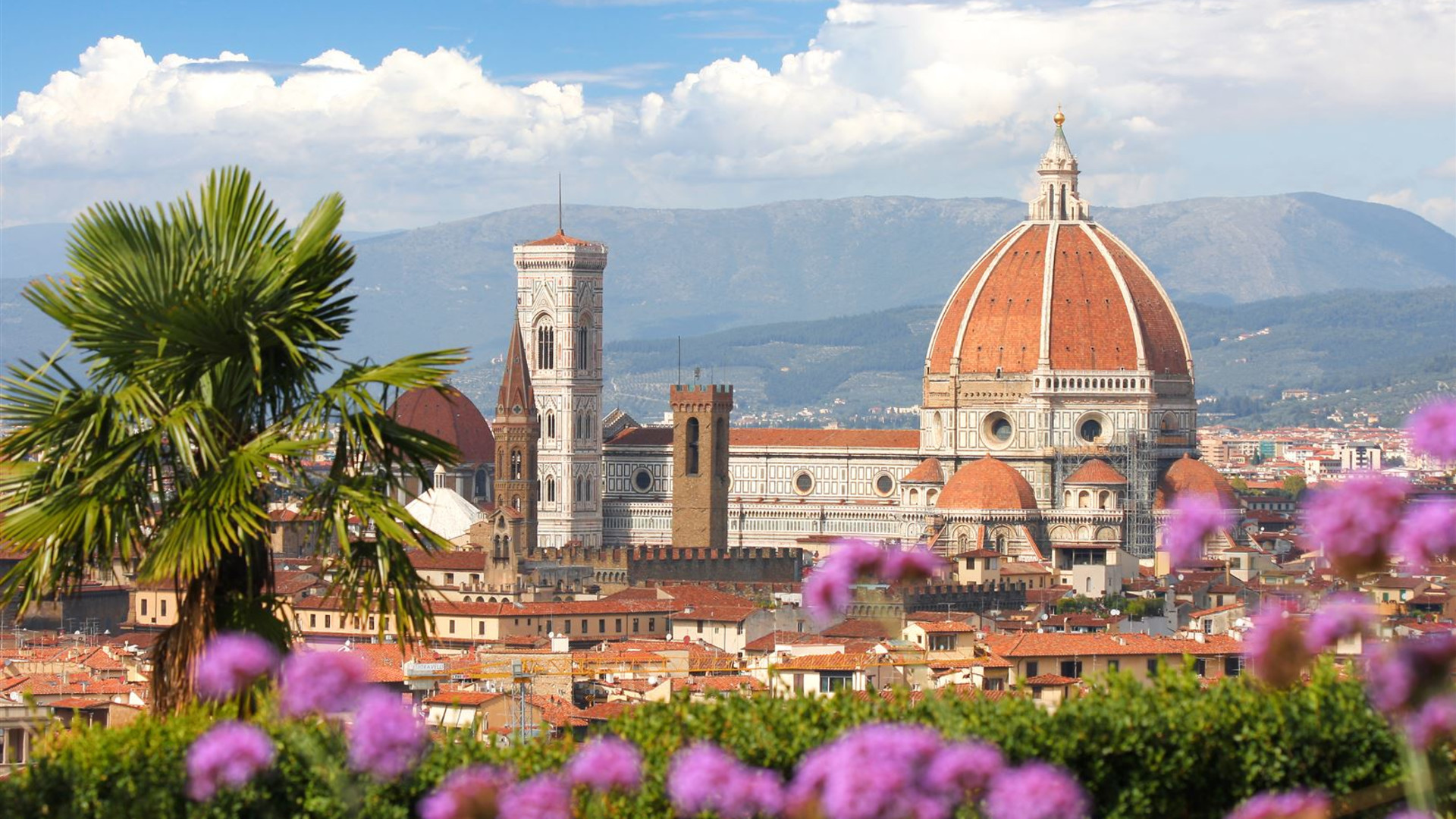 Discover Tuscany: Culture, Food & Wine