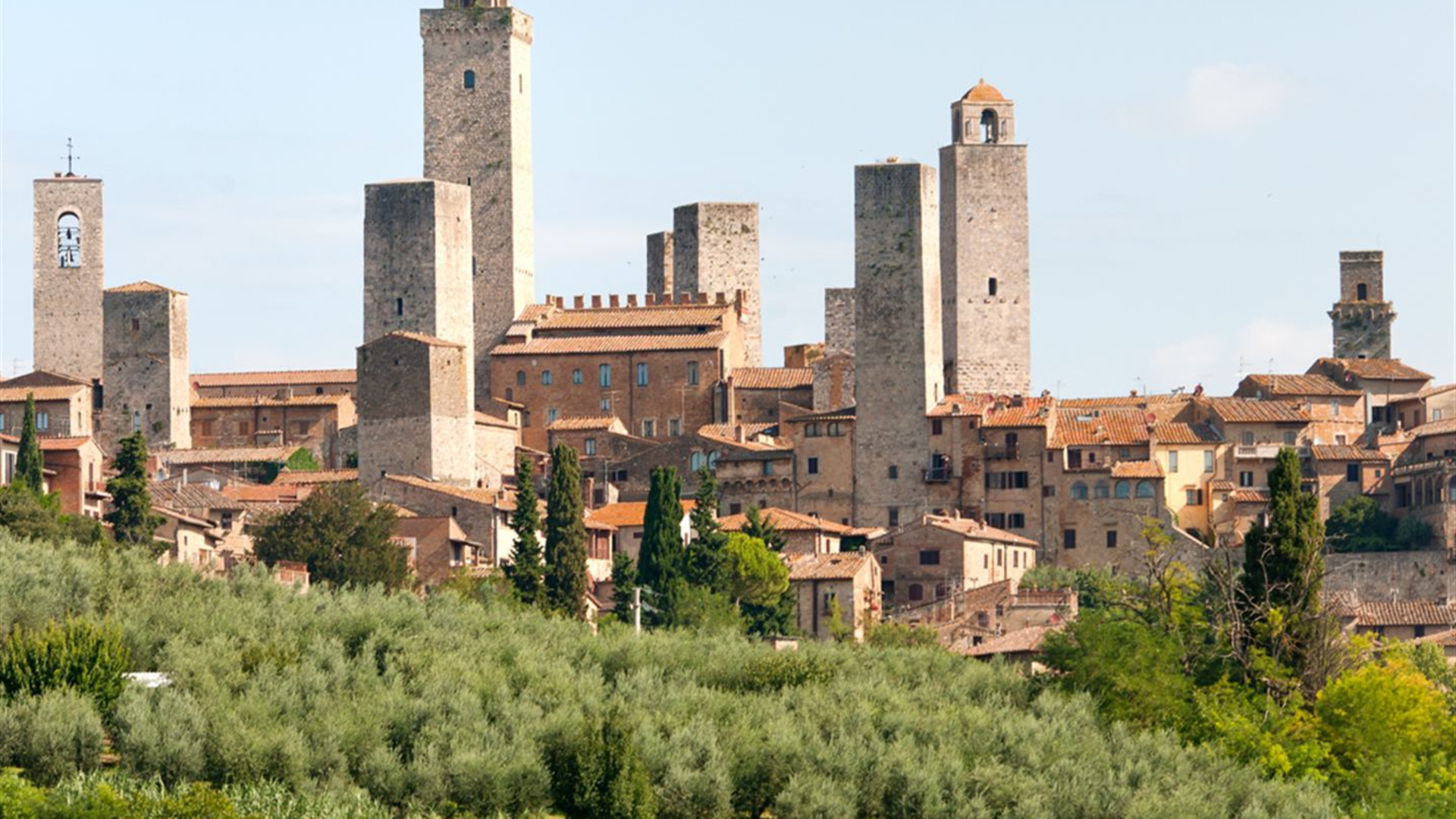 Local Living Italy - Tuscany San Gimignano