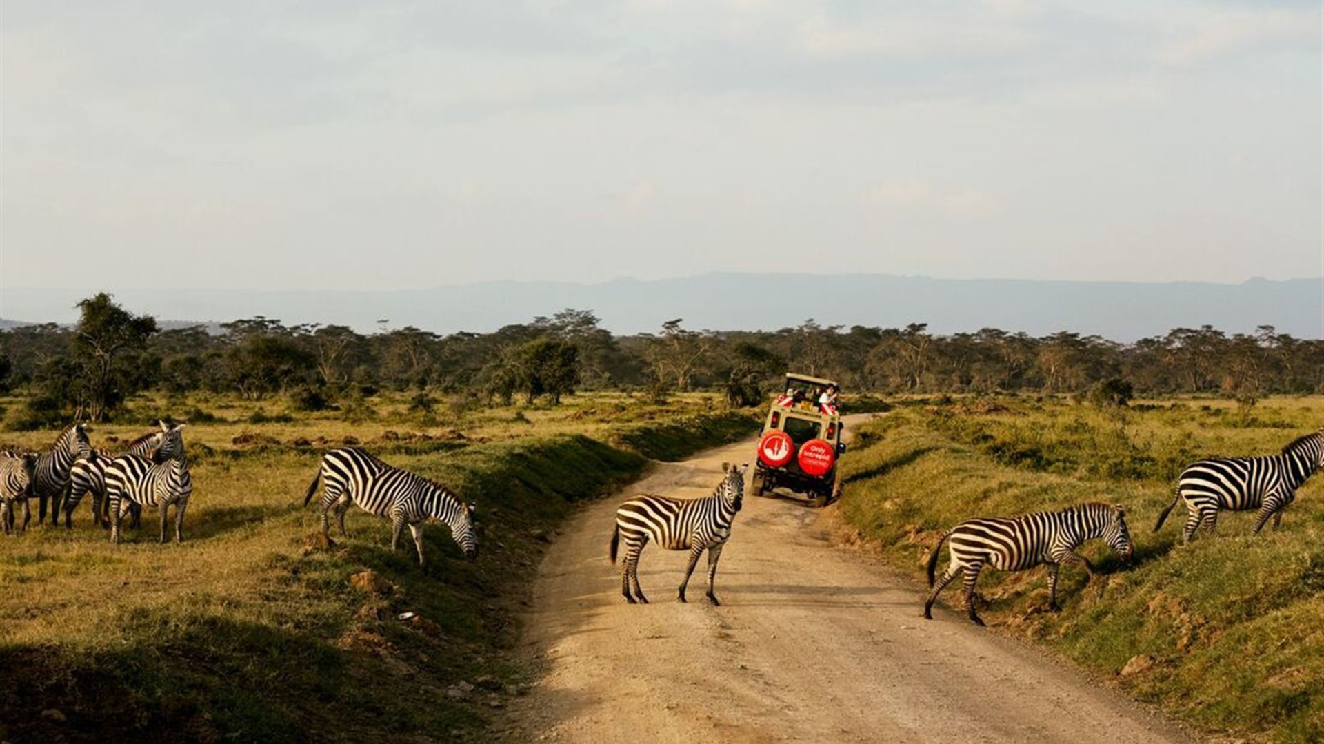 Kenya Family Safari
