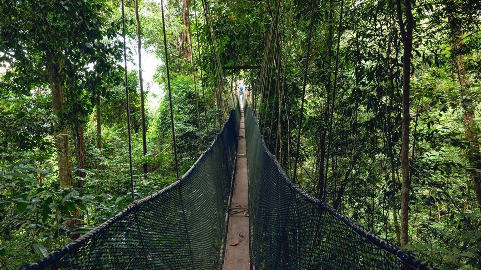 Borneo Family Holiday