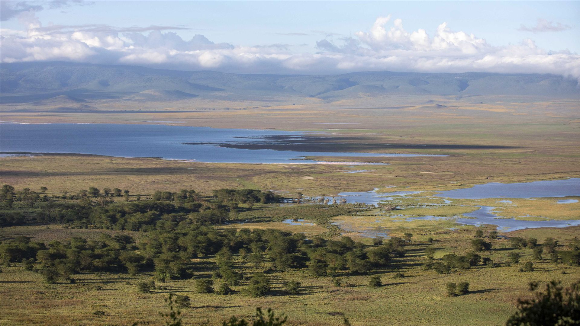 Kenya & Tanzania: Maasai Mara, Serengeti & Zanzibar Highlights