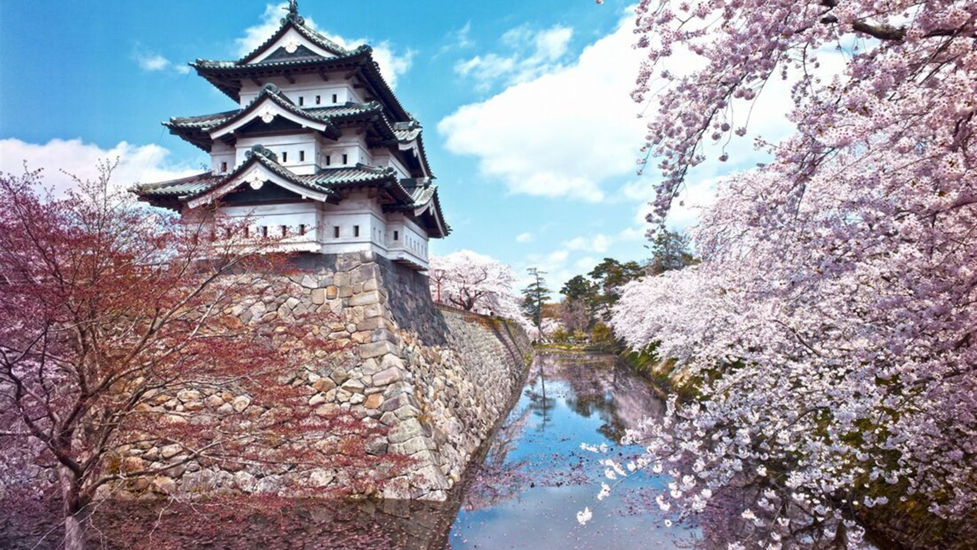 Japan Adventure