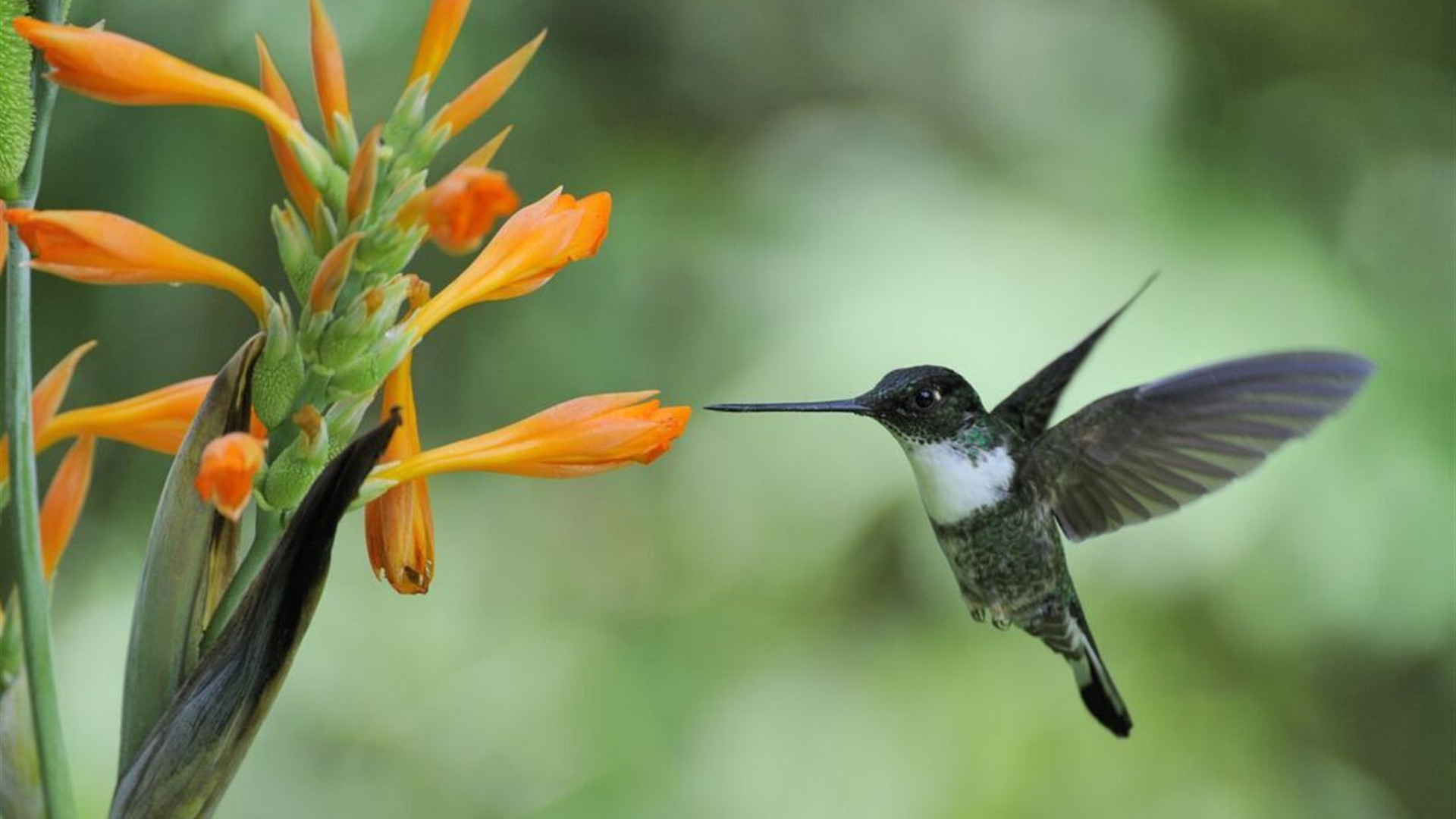 Peru: Women's Expedition