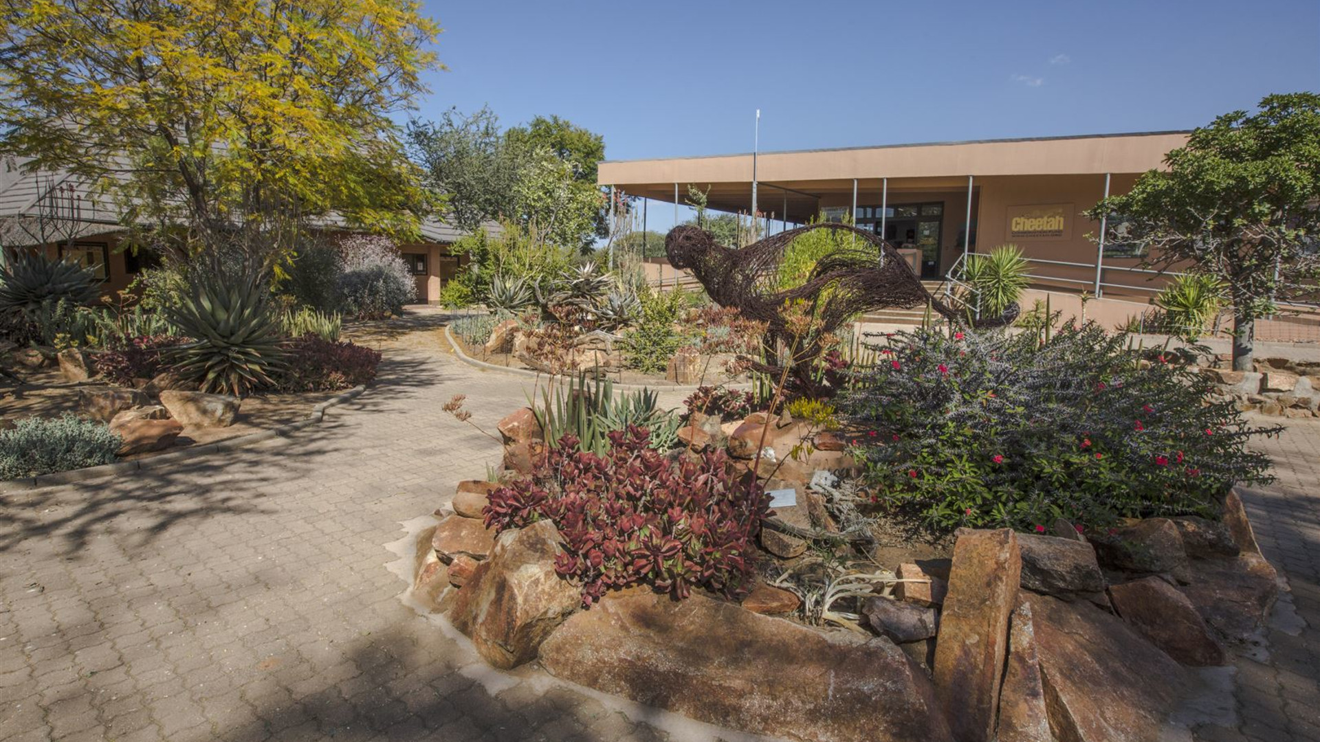 Journeys: Southern Africa Highlights