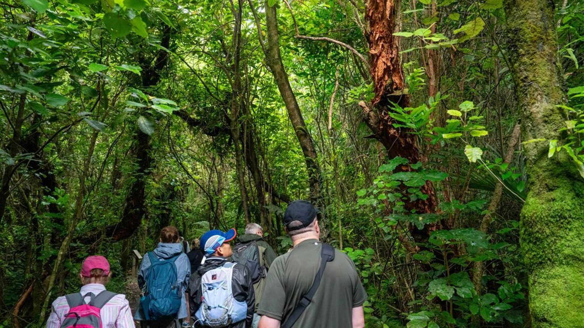 New Zealand Uncovered (Southbound) 