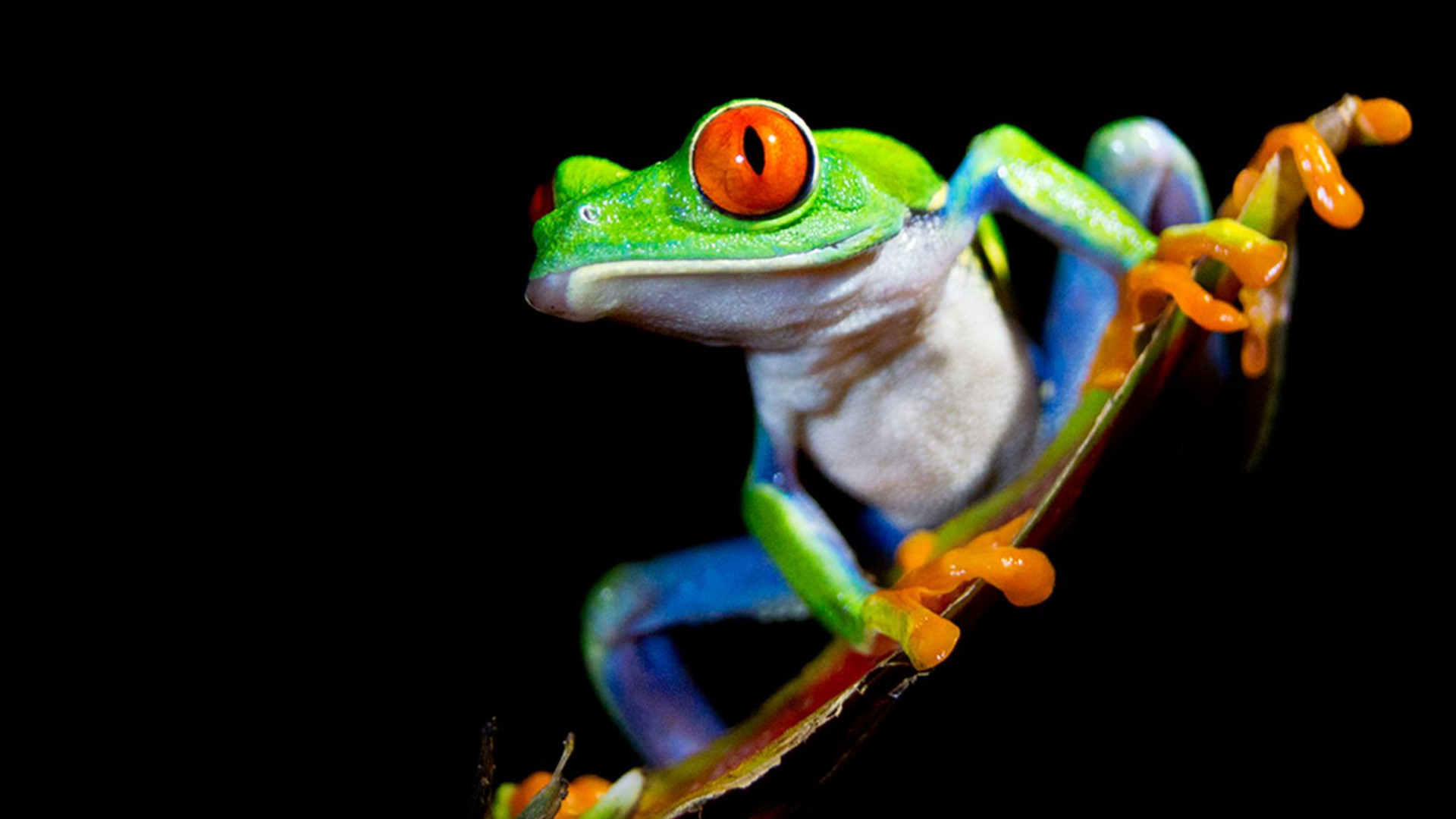 Costa Rica & Panama Discovery