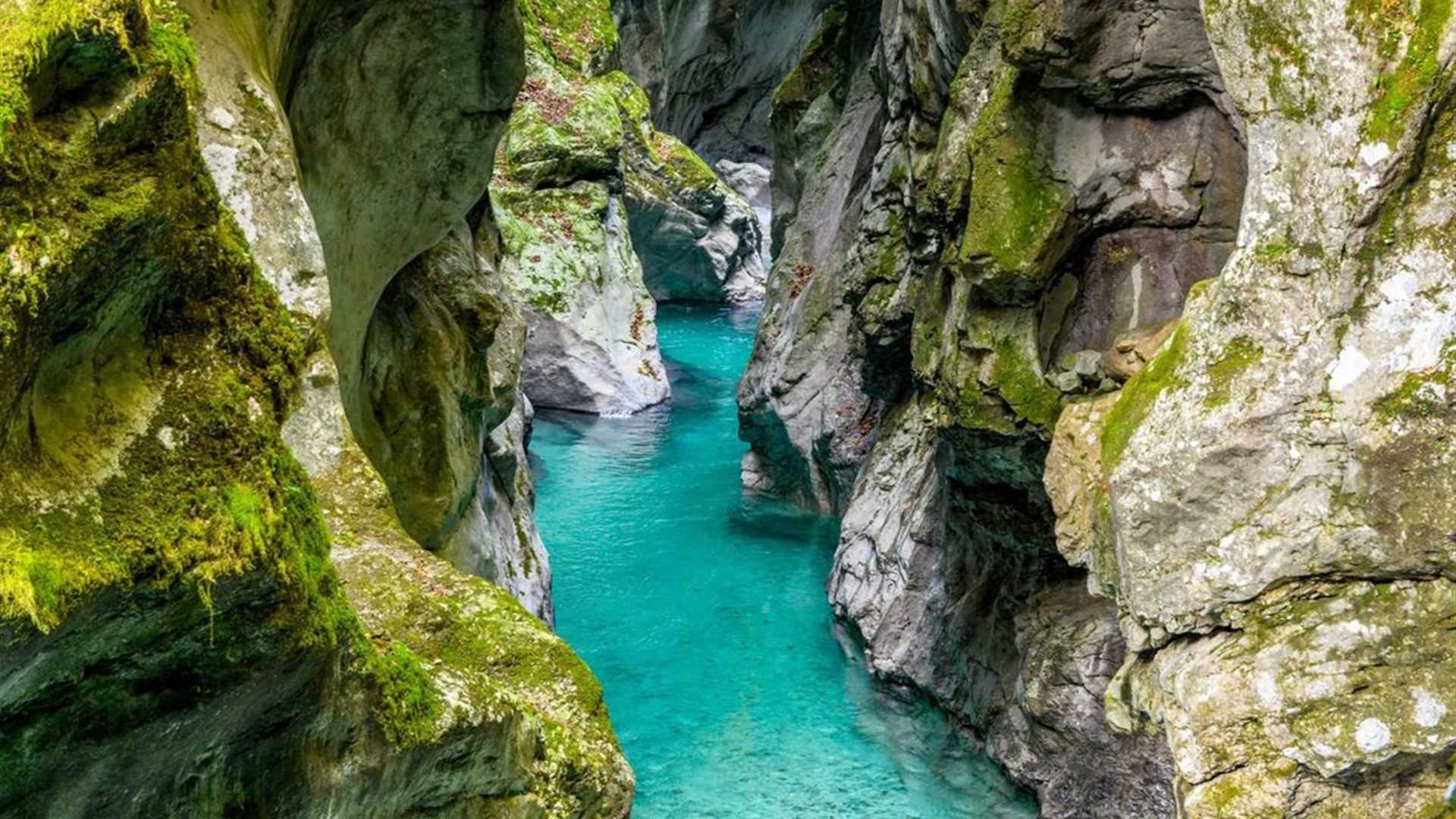 Slovenia Family Holiday with Teenagers