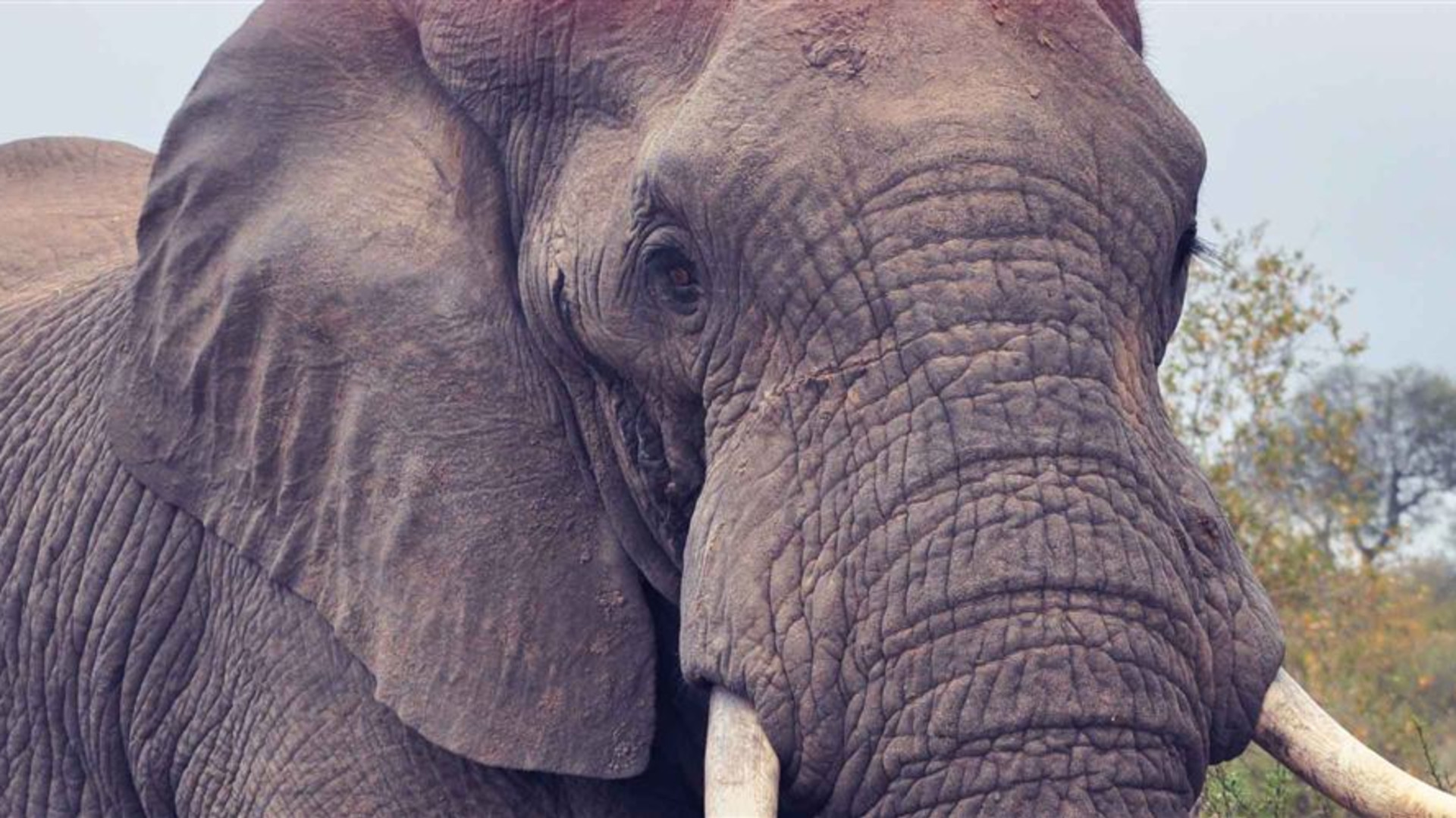 Garden Route Adventure