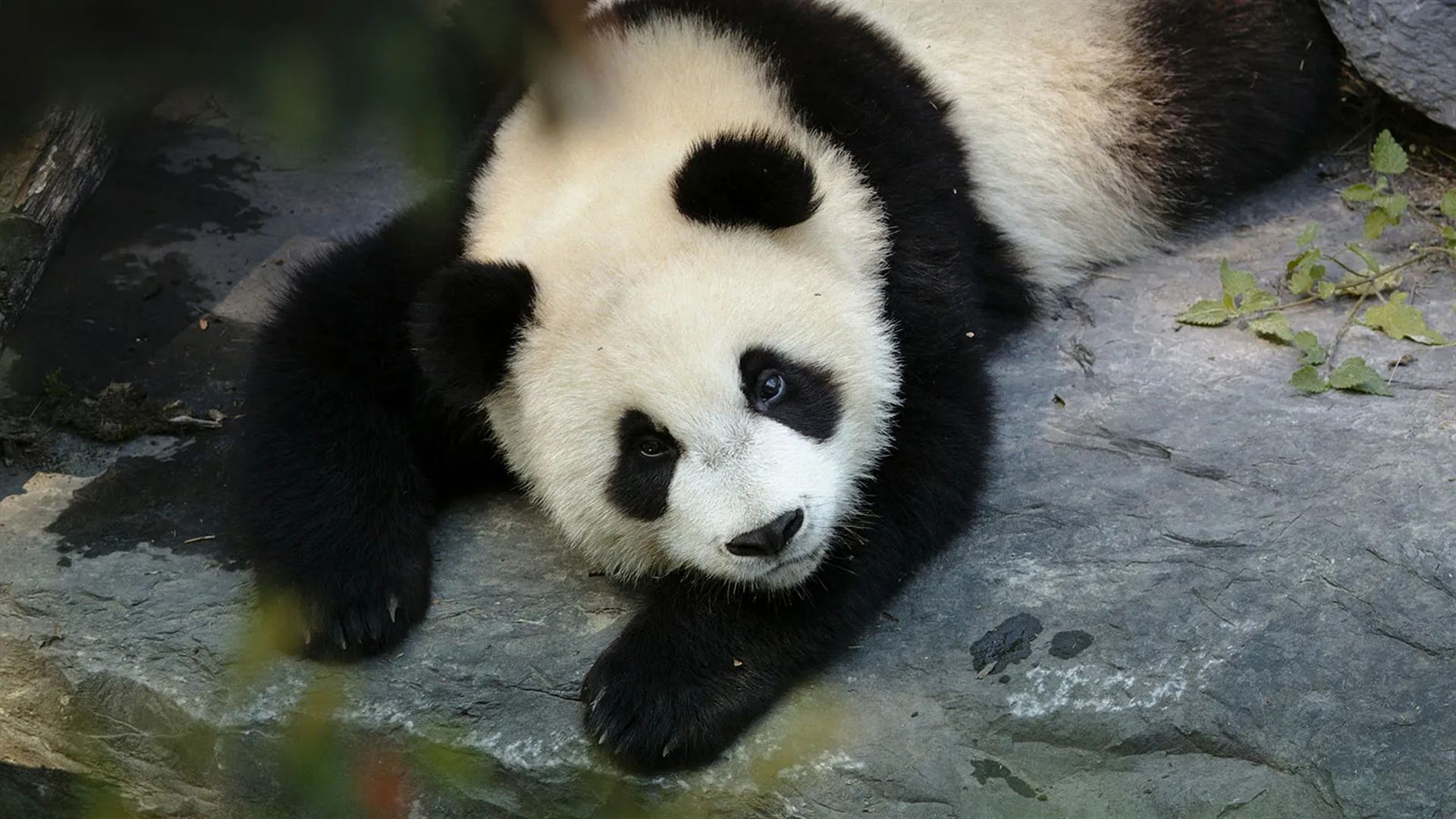 Beijing to Kunming: Undiscovered China