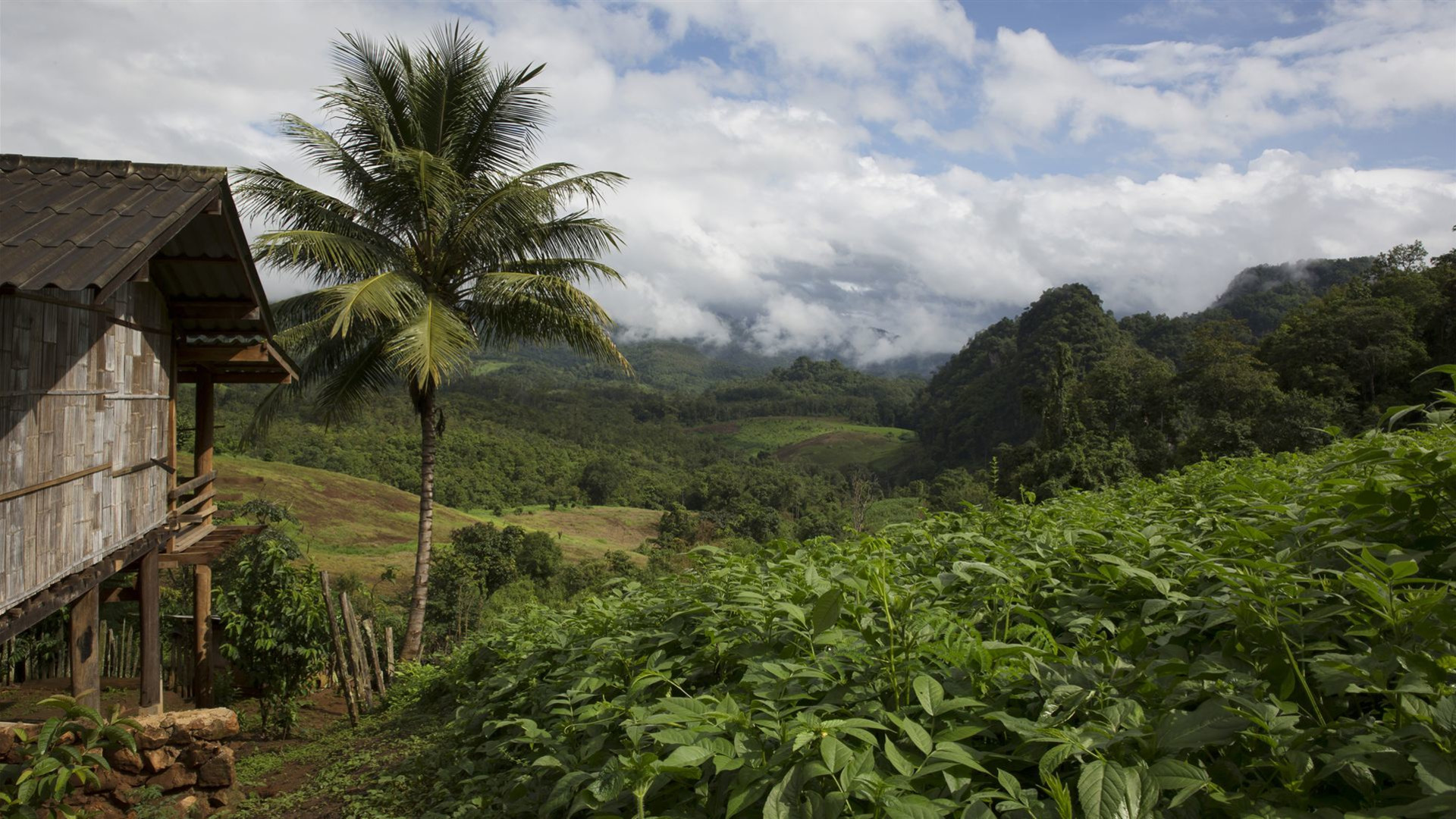Northern Thailand Hilltribes Trek