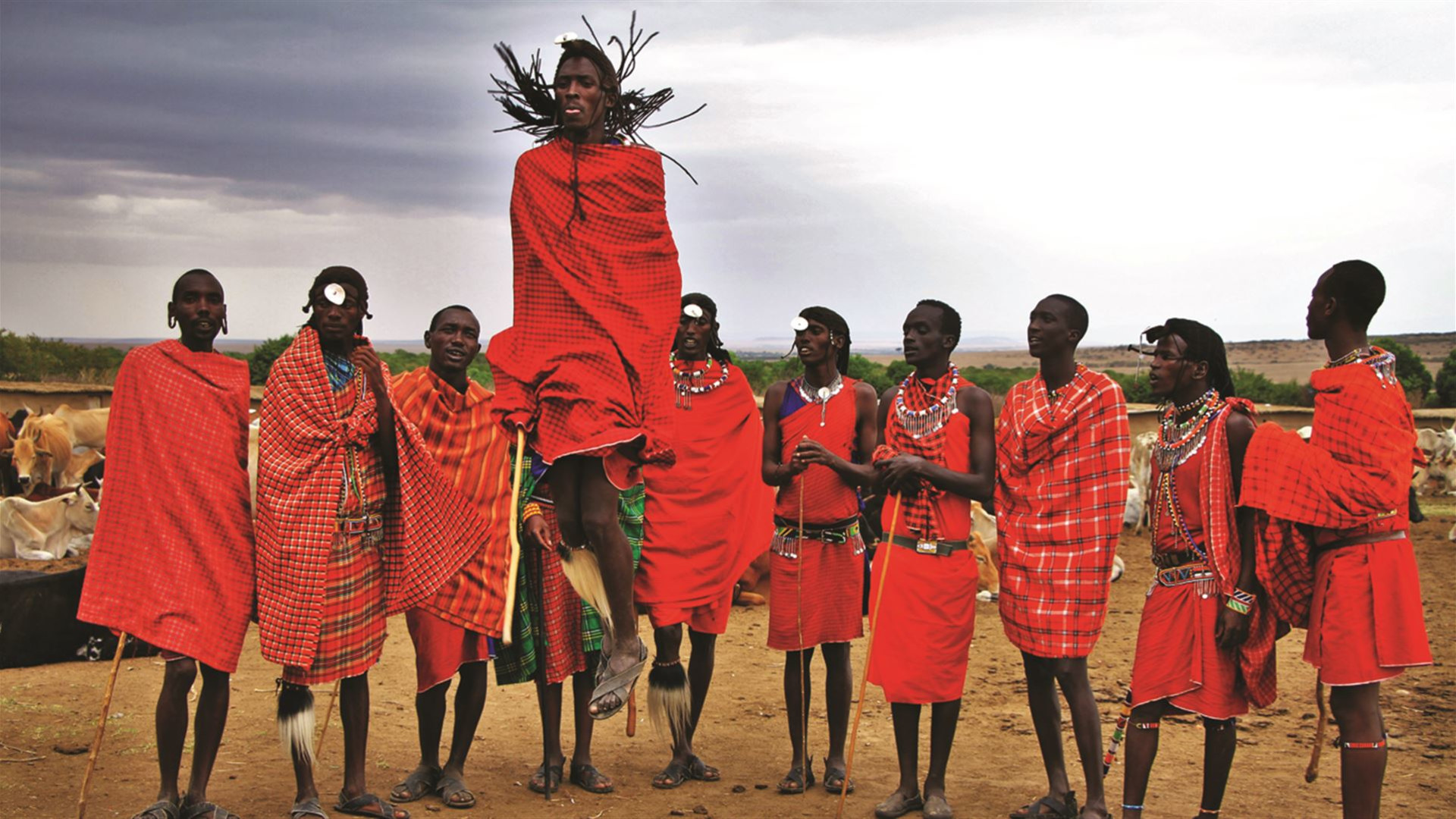 African Safari: Kenya & Tanzania