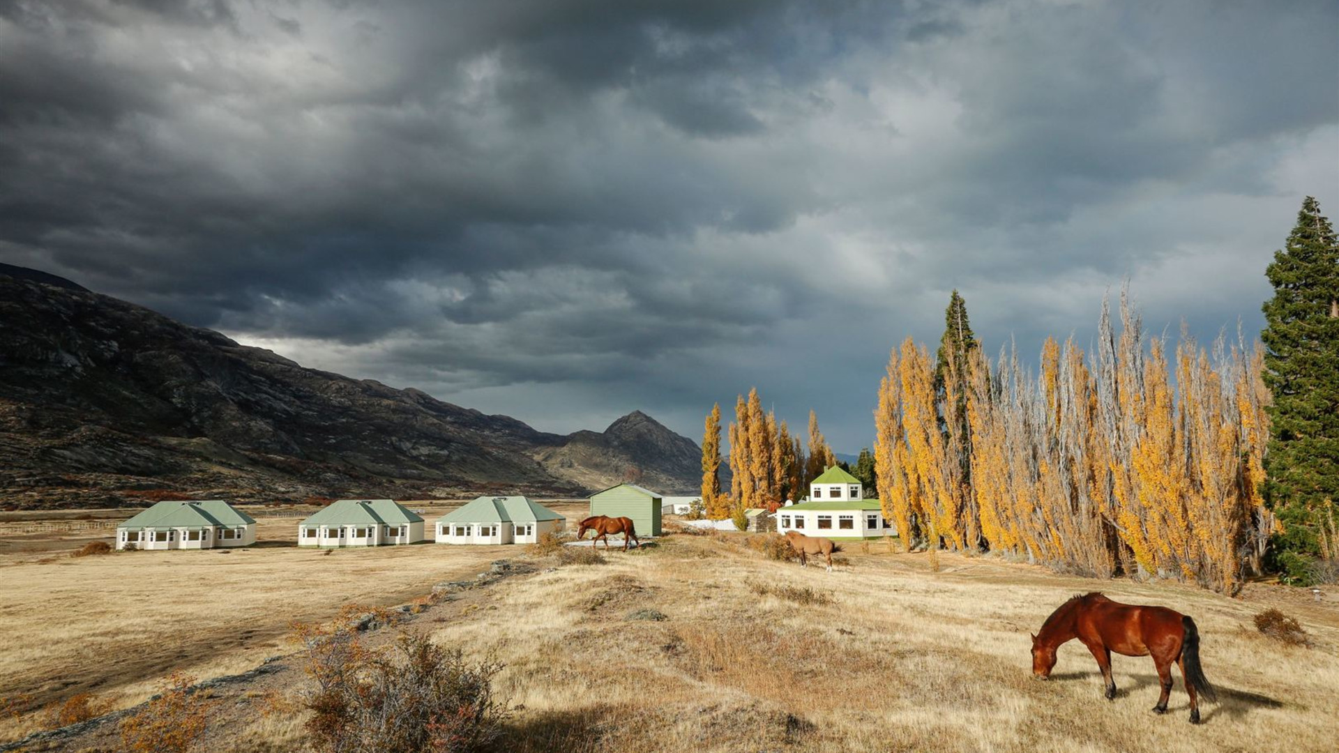 Patagonien: Torres del Paine & Nationalpark Los Glaciares