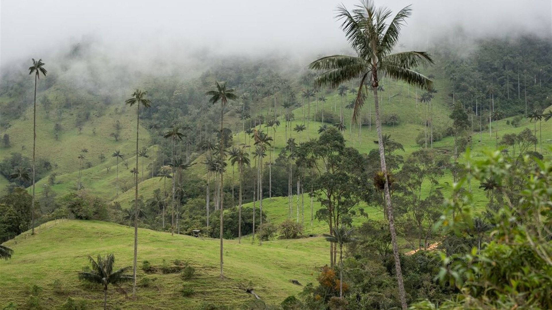 Best of Colombia