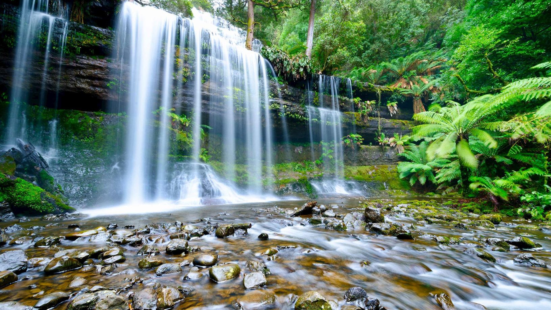 Perfect Tasmania