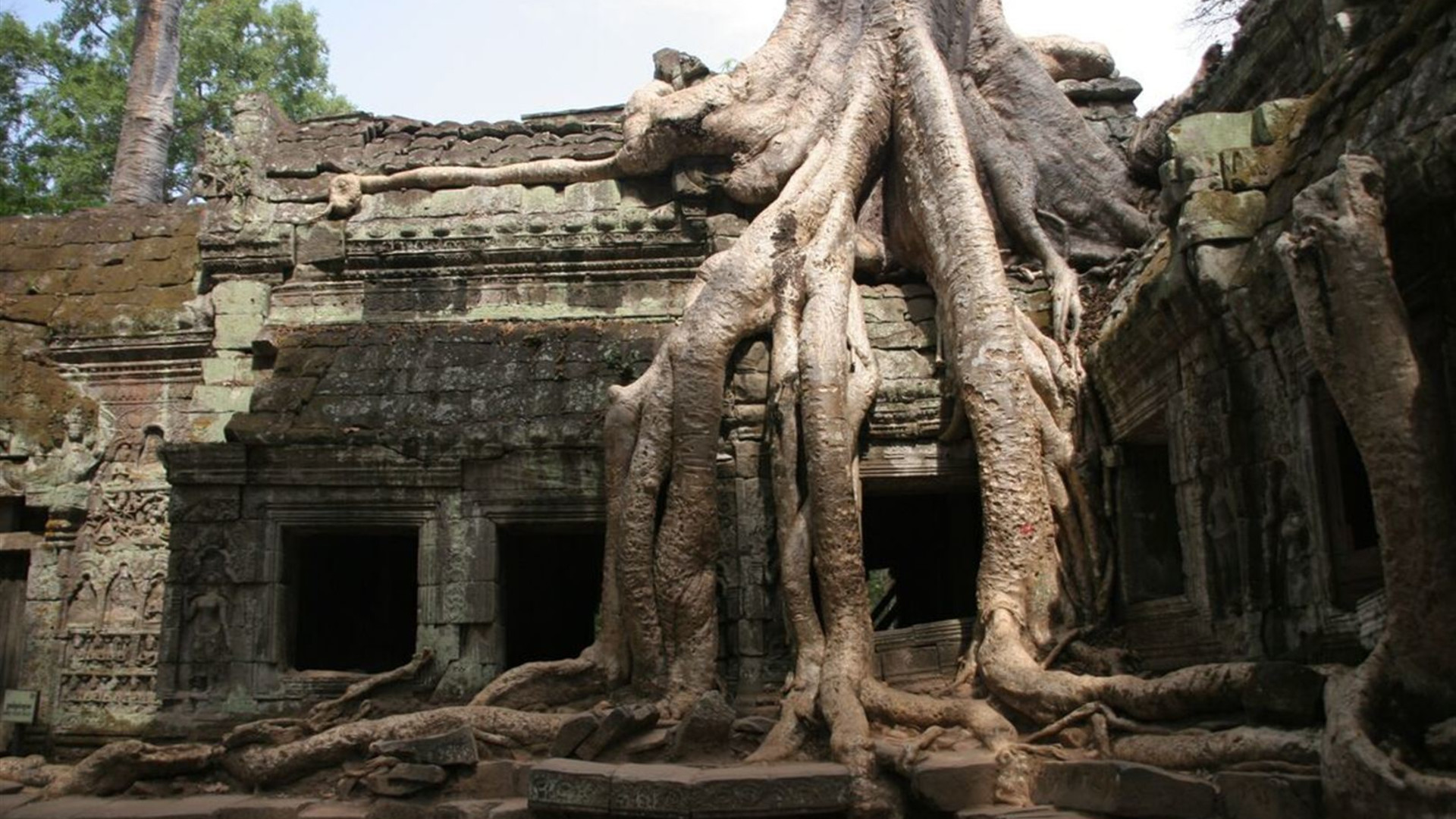Cambodian Traveller