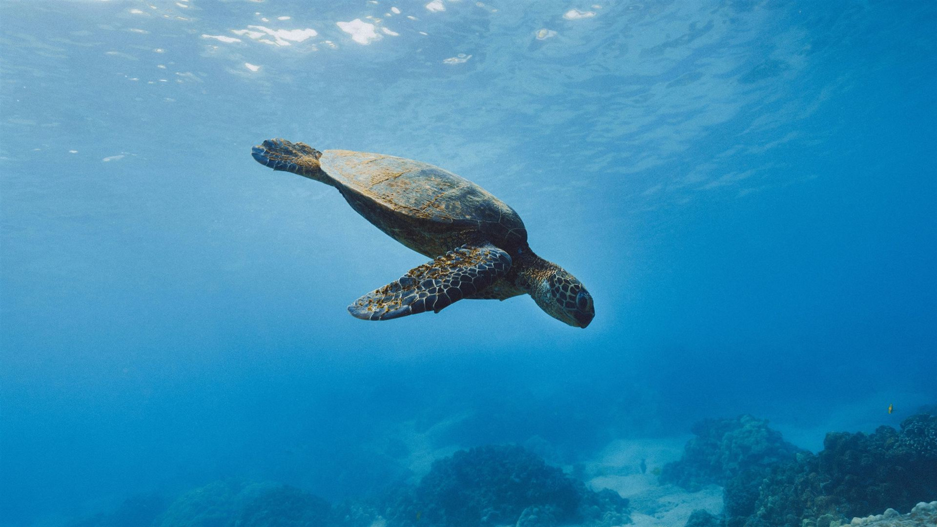 Journeys: Explore South America