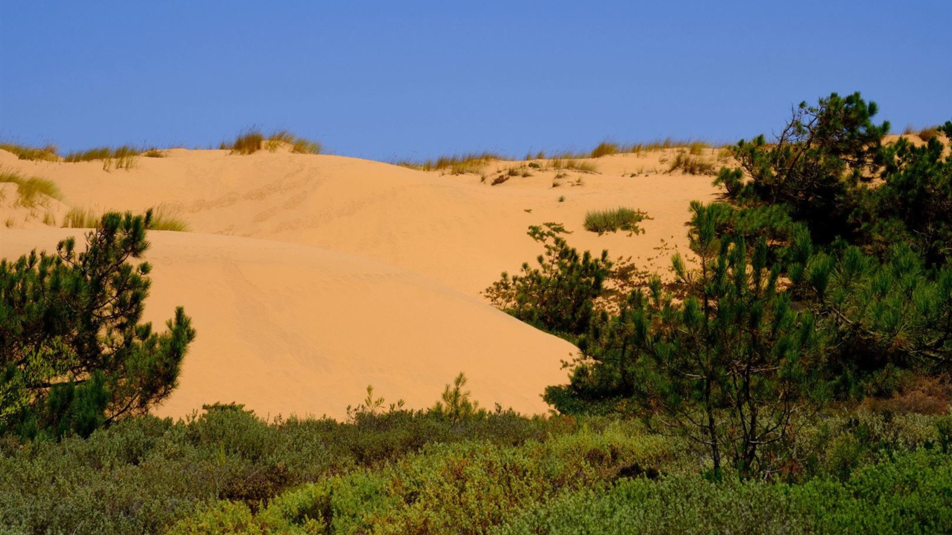 Cycling the Algarve's Rota Vicentina