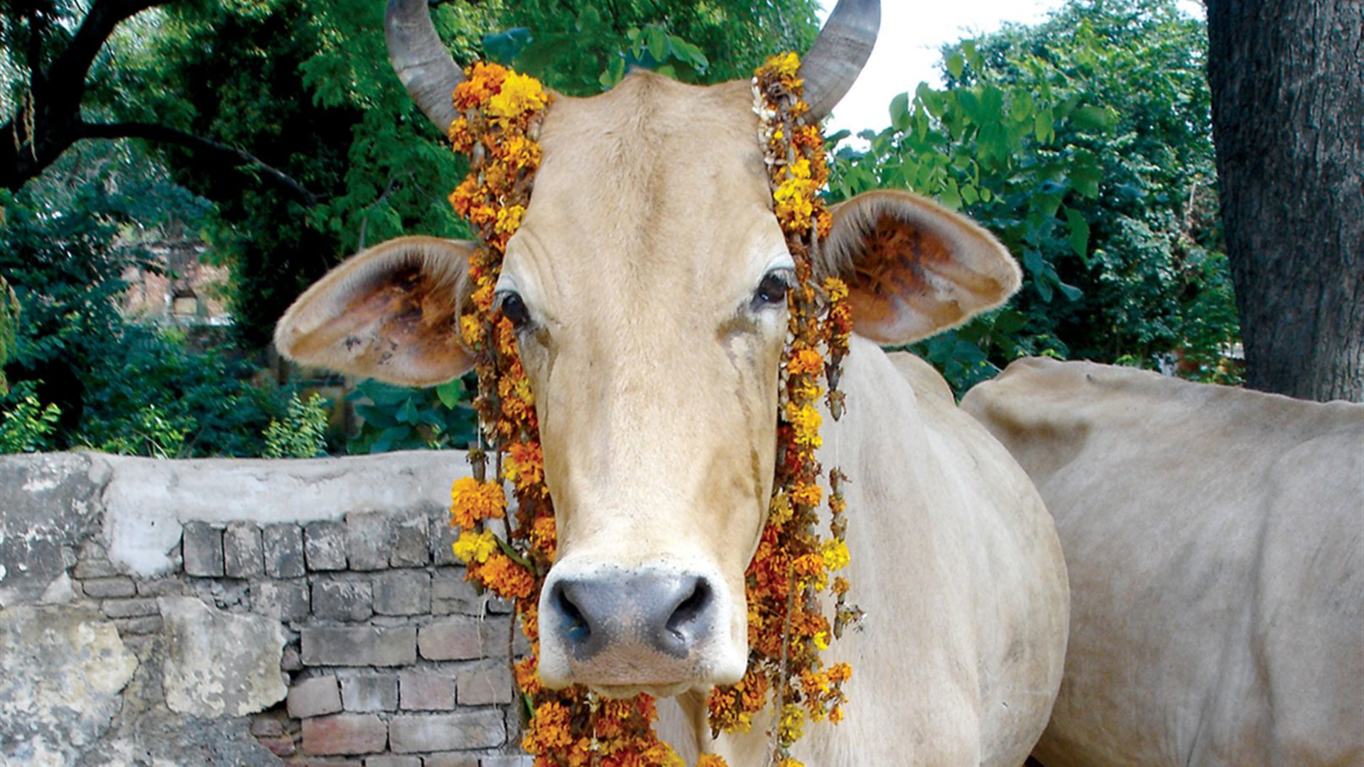 Southern India