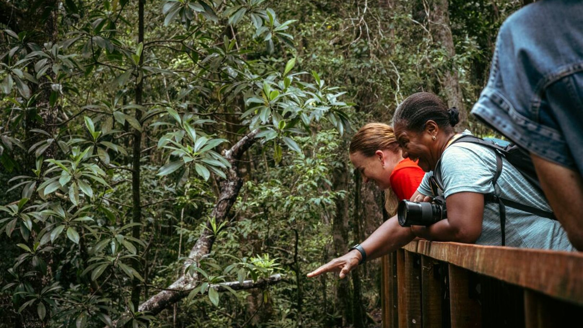 Cape York & Torres Strait Adventure