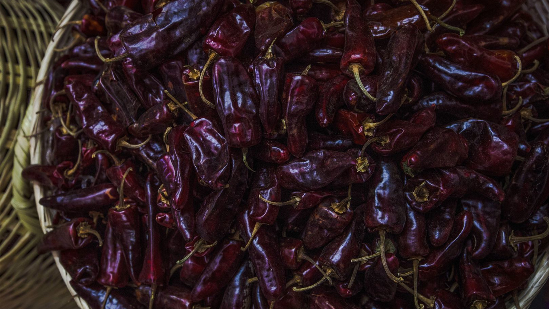 Mexico City to Oaxaca: Celebrate Day of the Dead