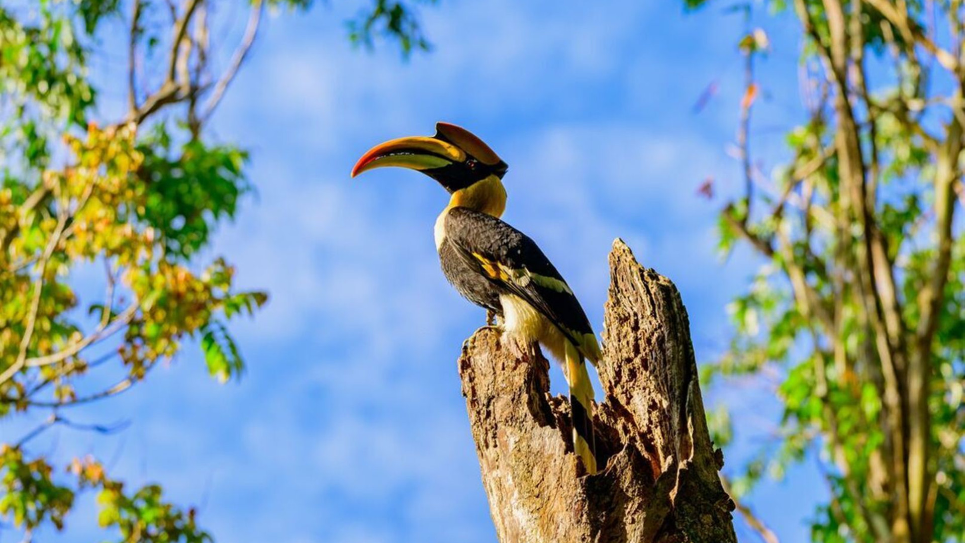 Southern India