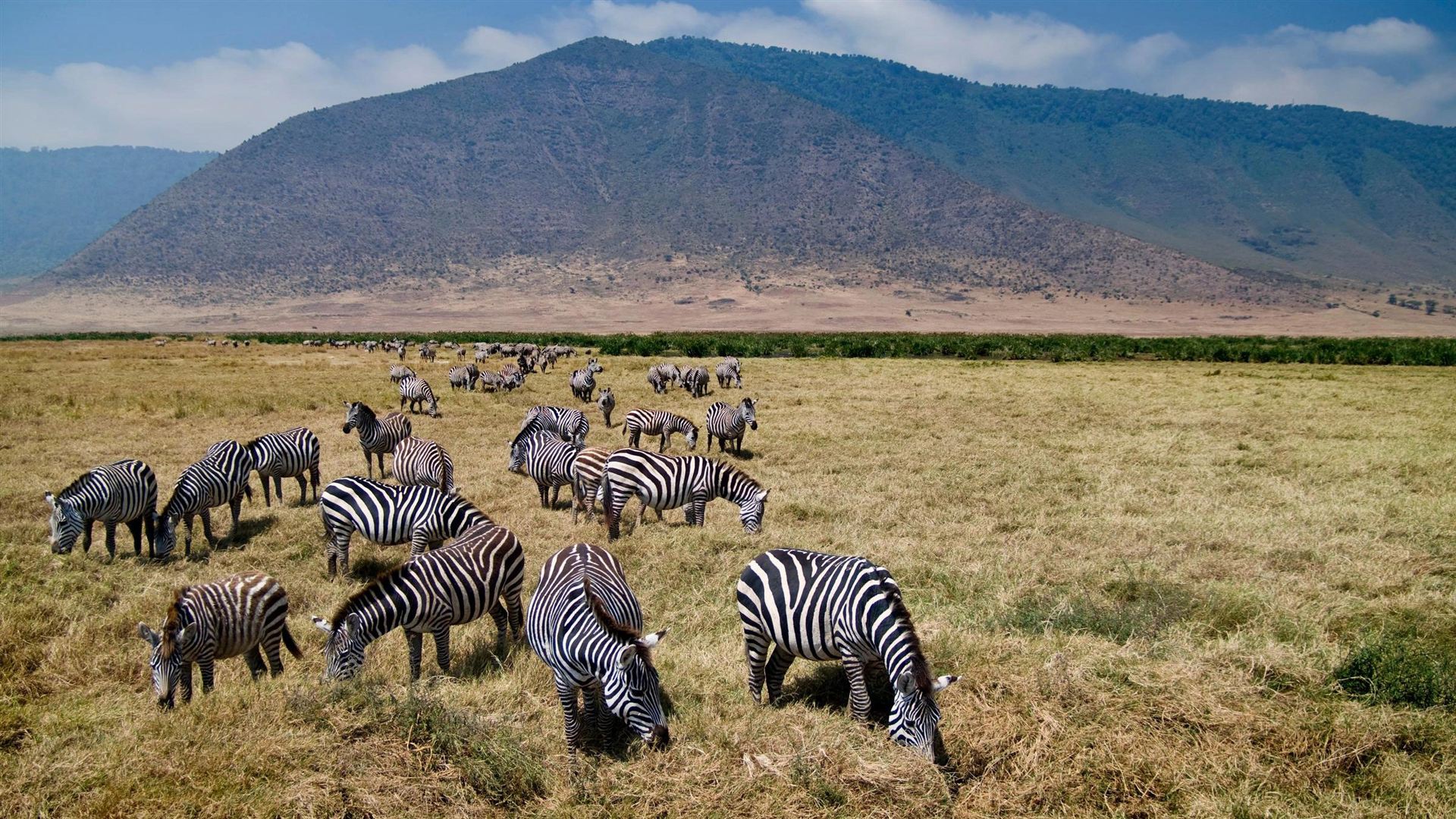 Tanzania: The Serengeti, Ngorongoro Crater & Local Flavours