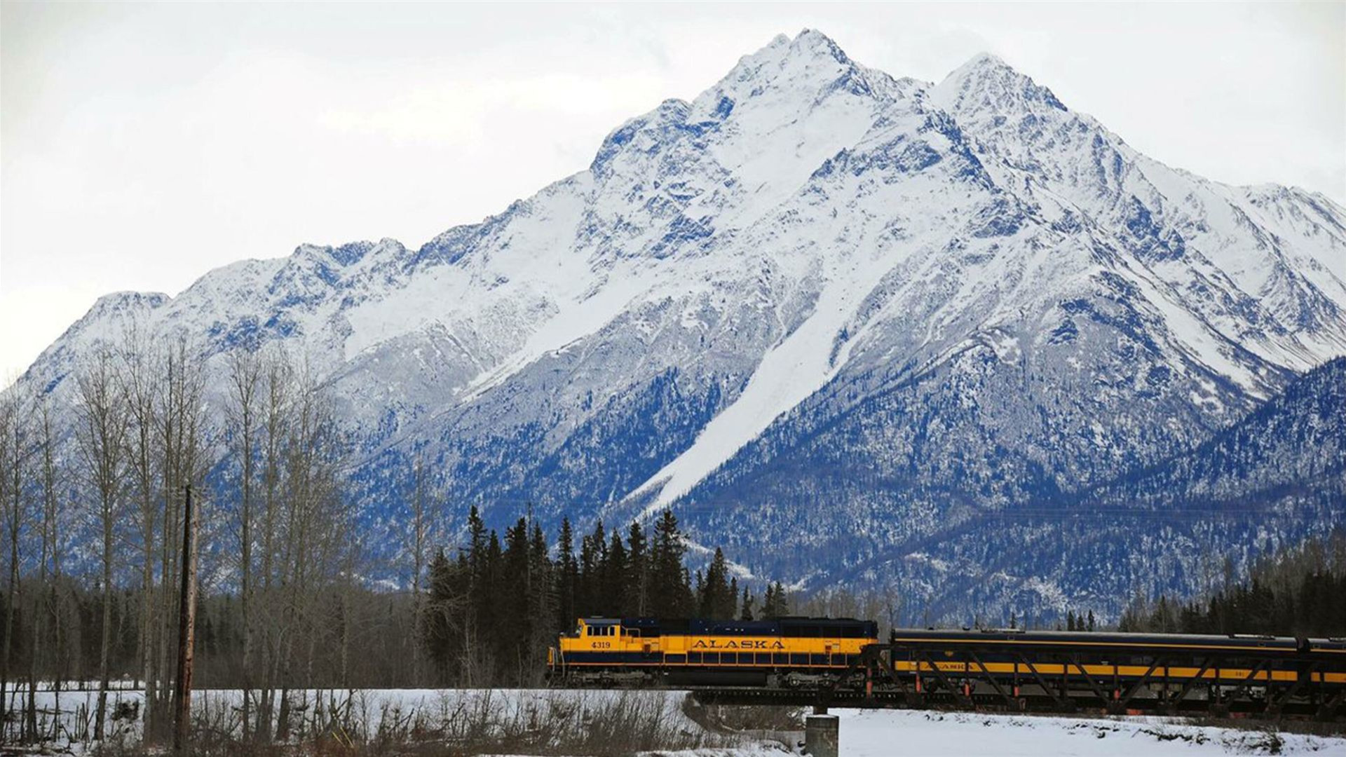 Alaska in Winter: Northern Lights & Dog Sledding Adventure