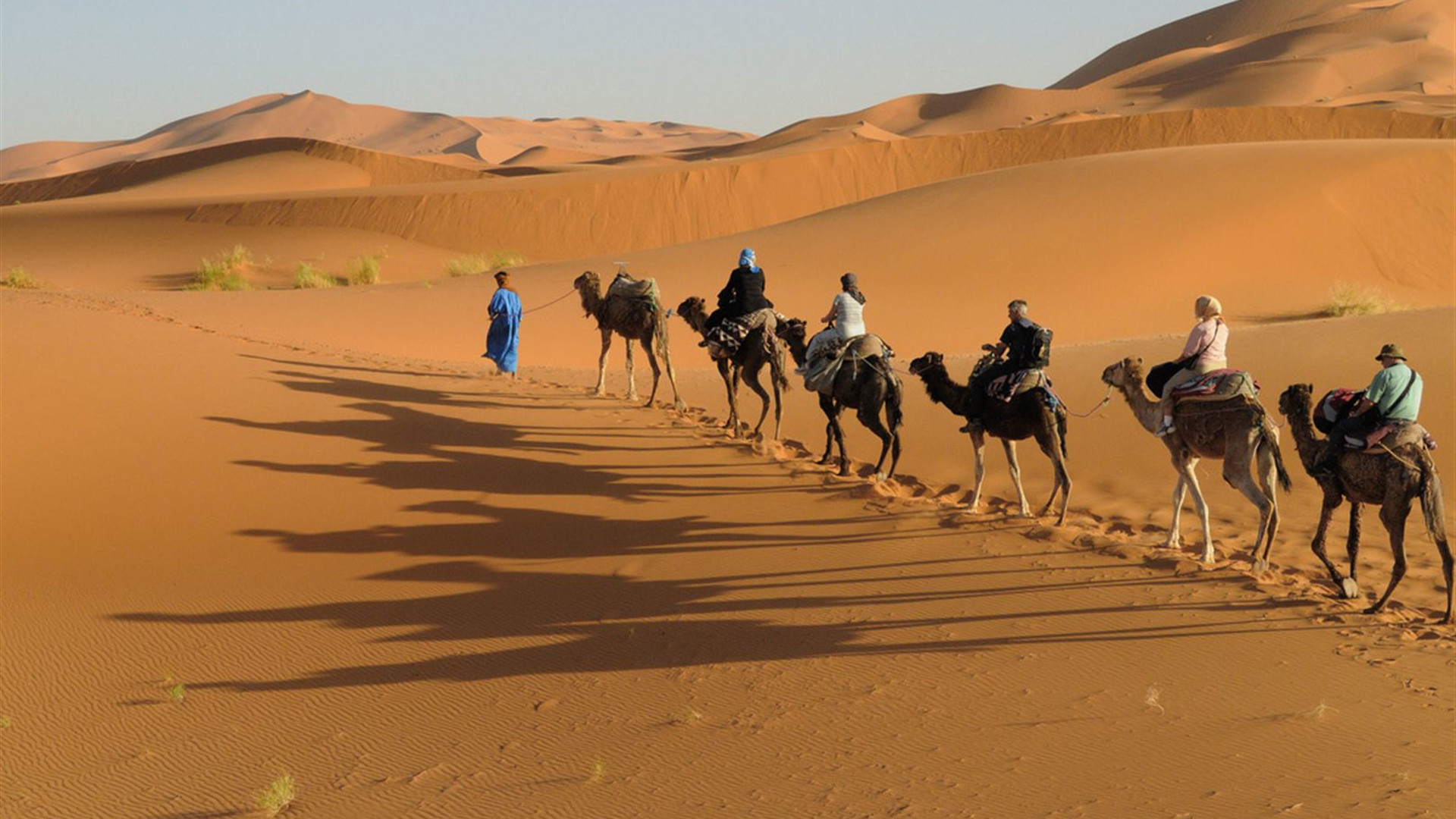 Premium Morocco in Depth