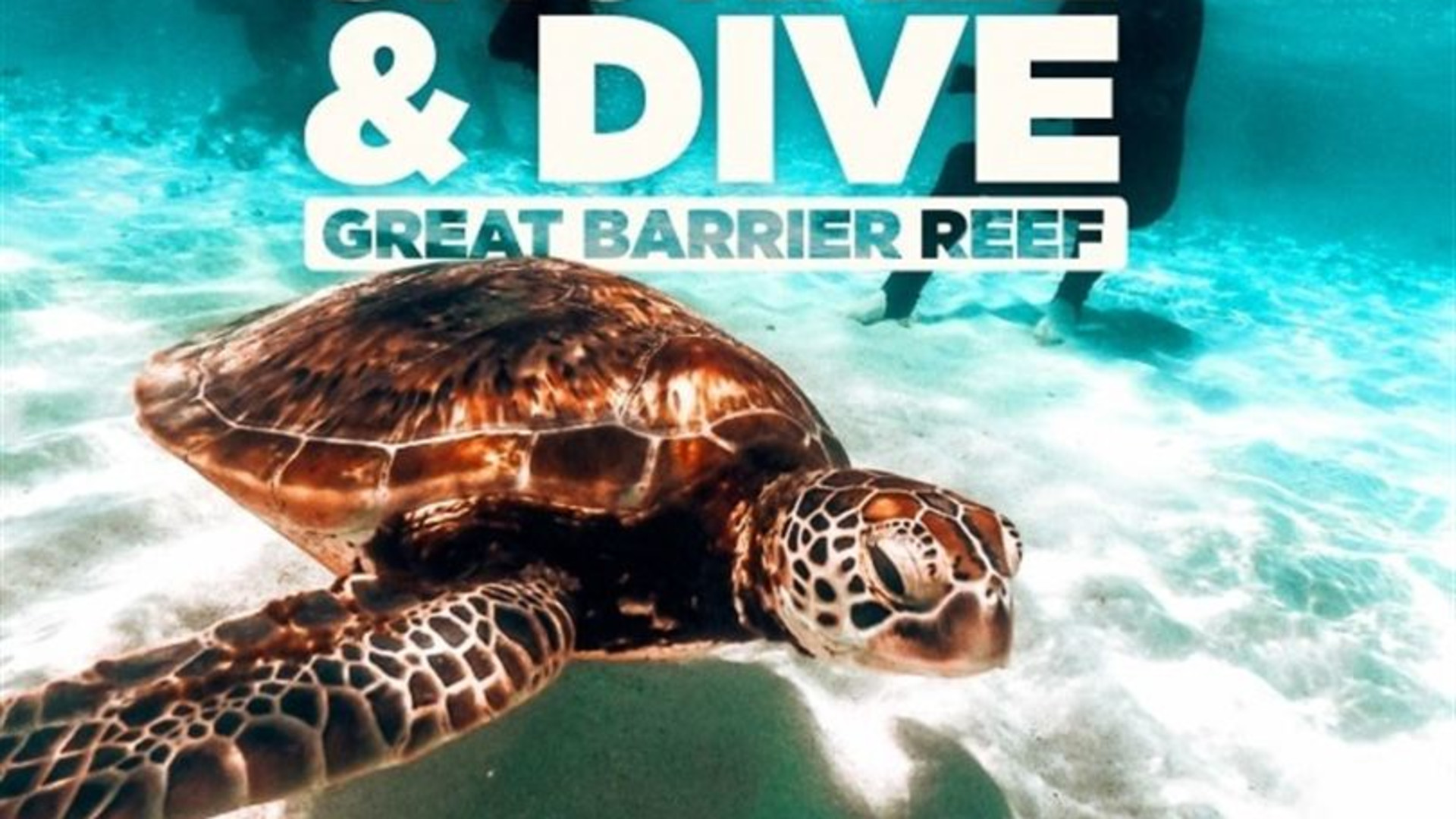 Great Barrier Reef Explorer