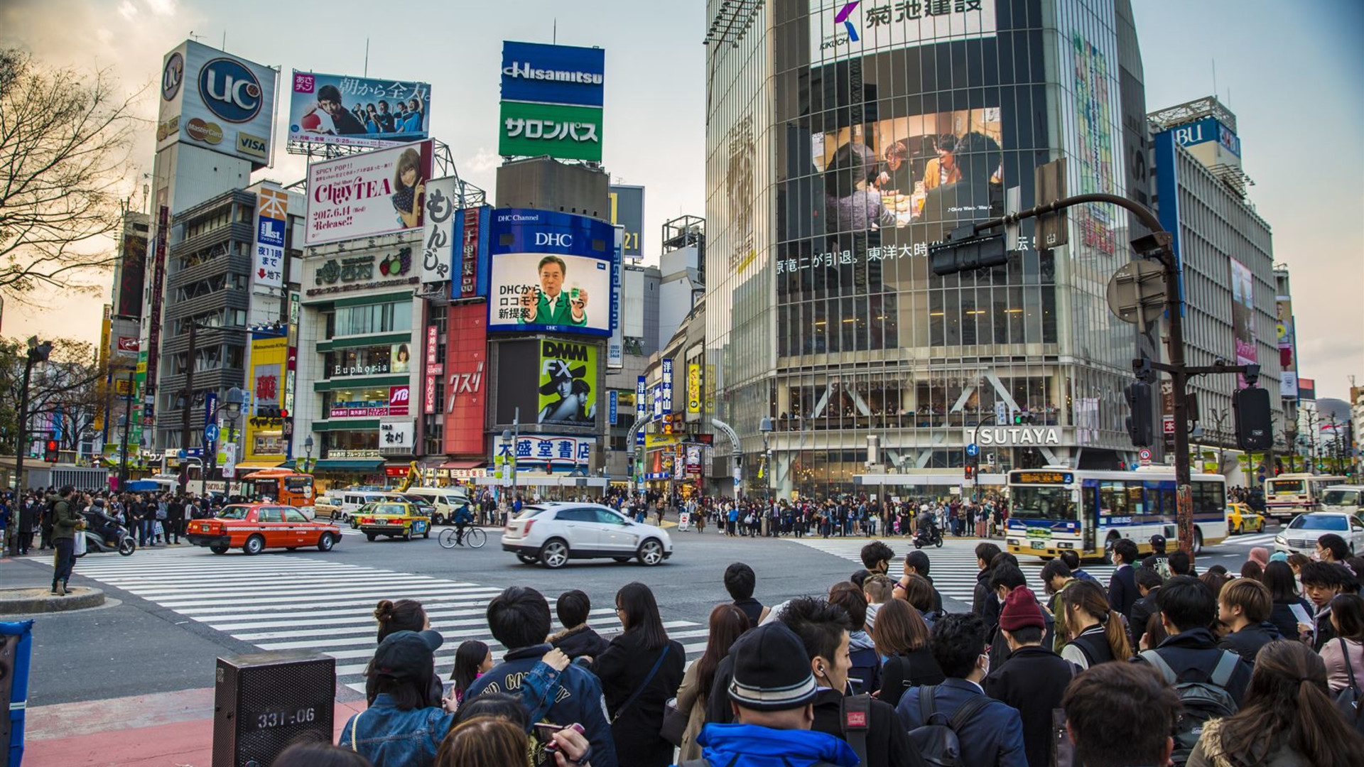 Active Northern Japan: Tokyo & Hokkaido