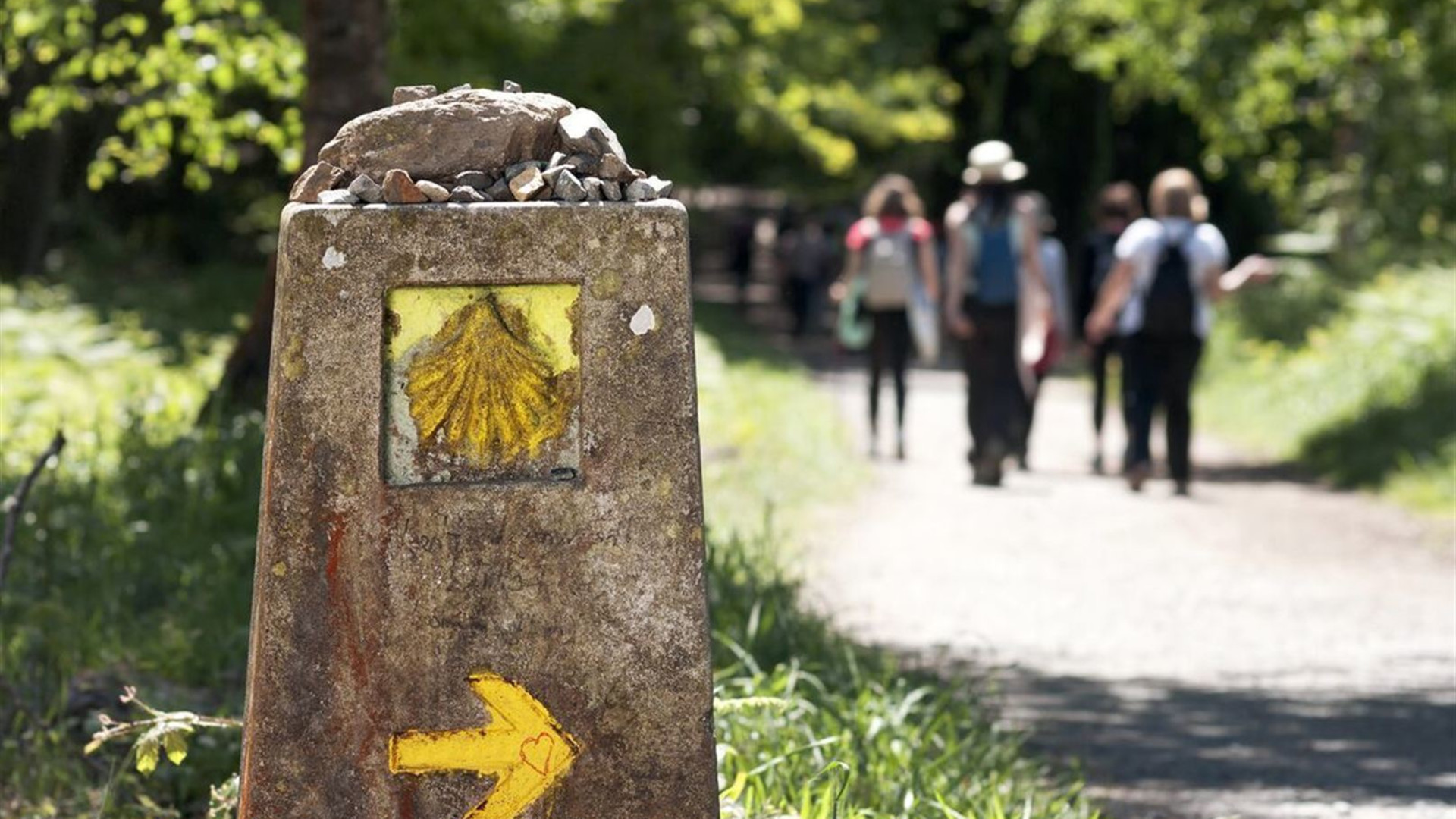 Portuguese Camino