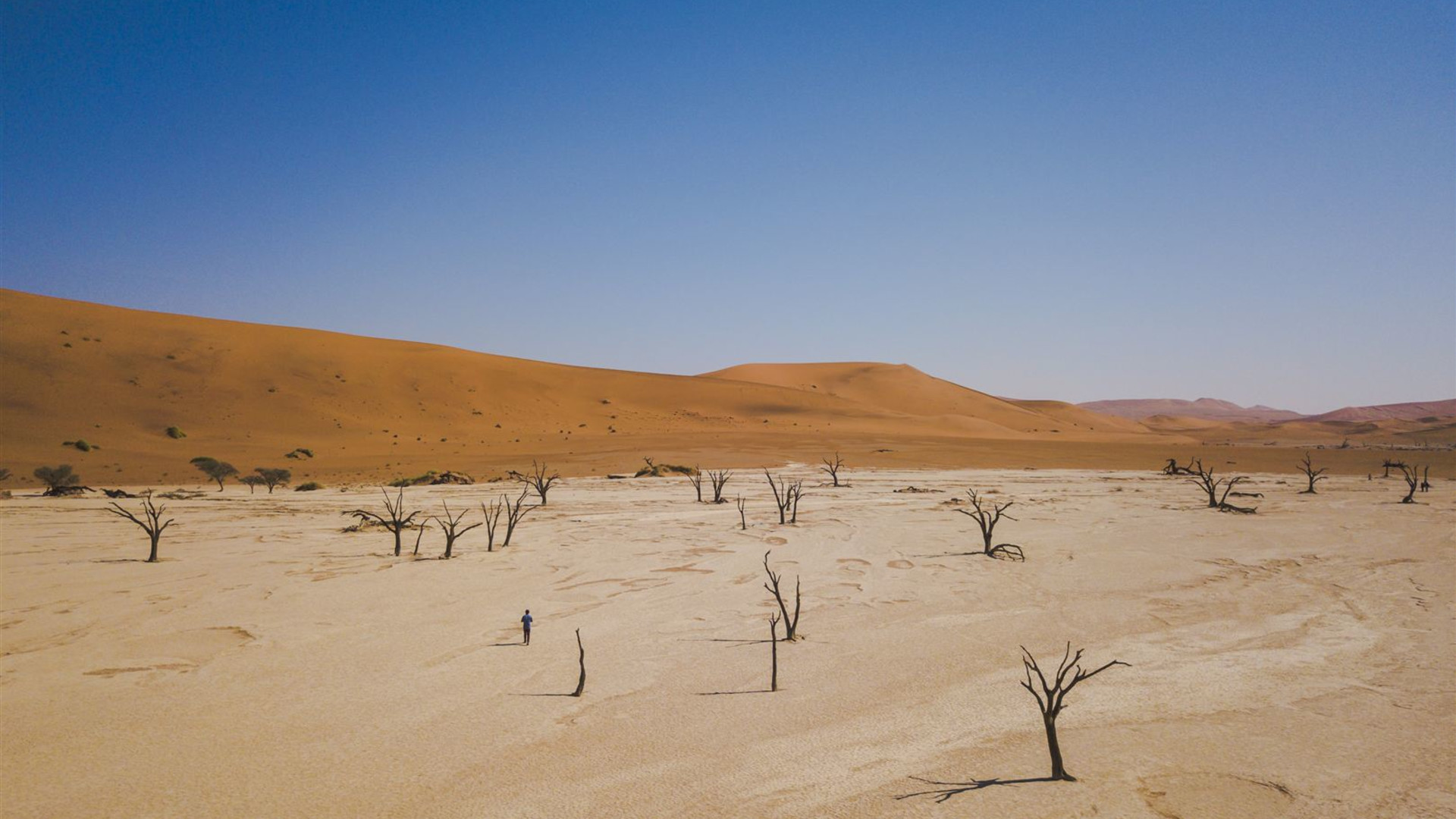 Ultimatives Afrika – Safarifahrten & Savannen
