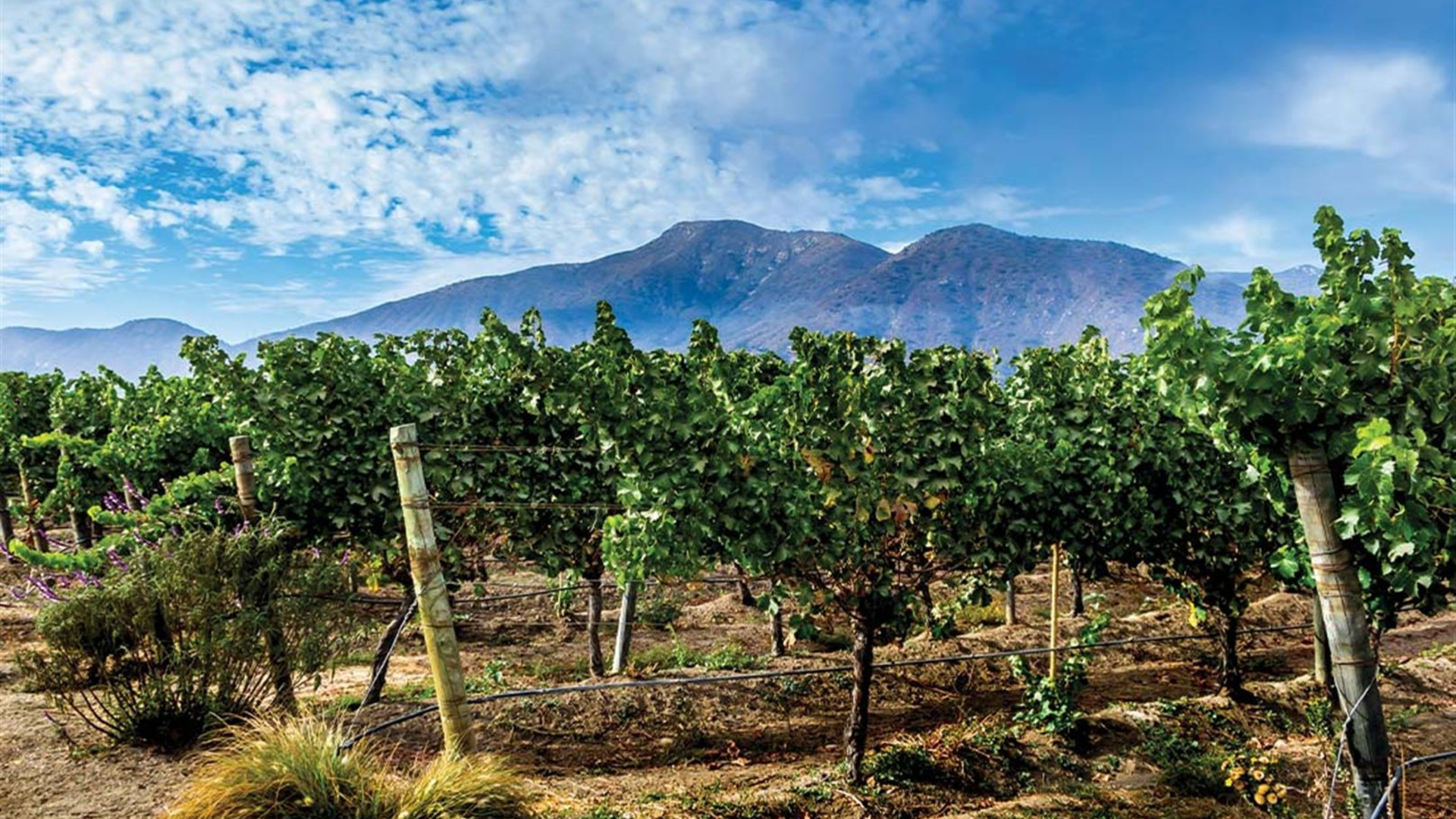 Santiago Independent Short Break